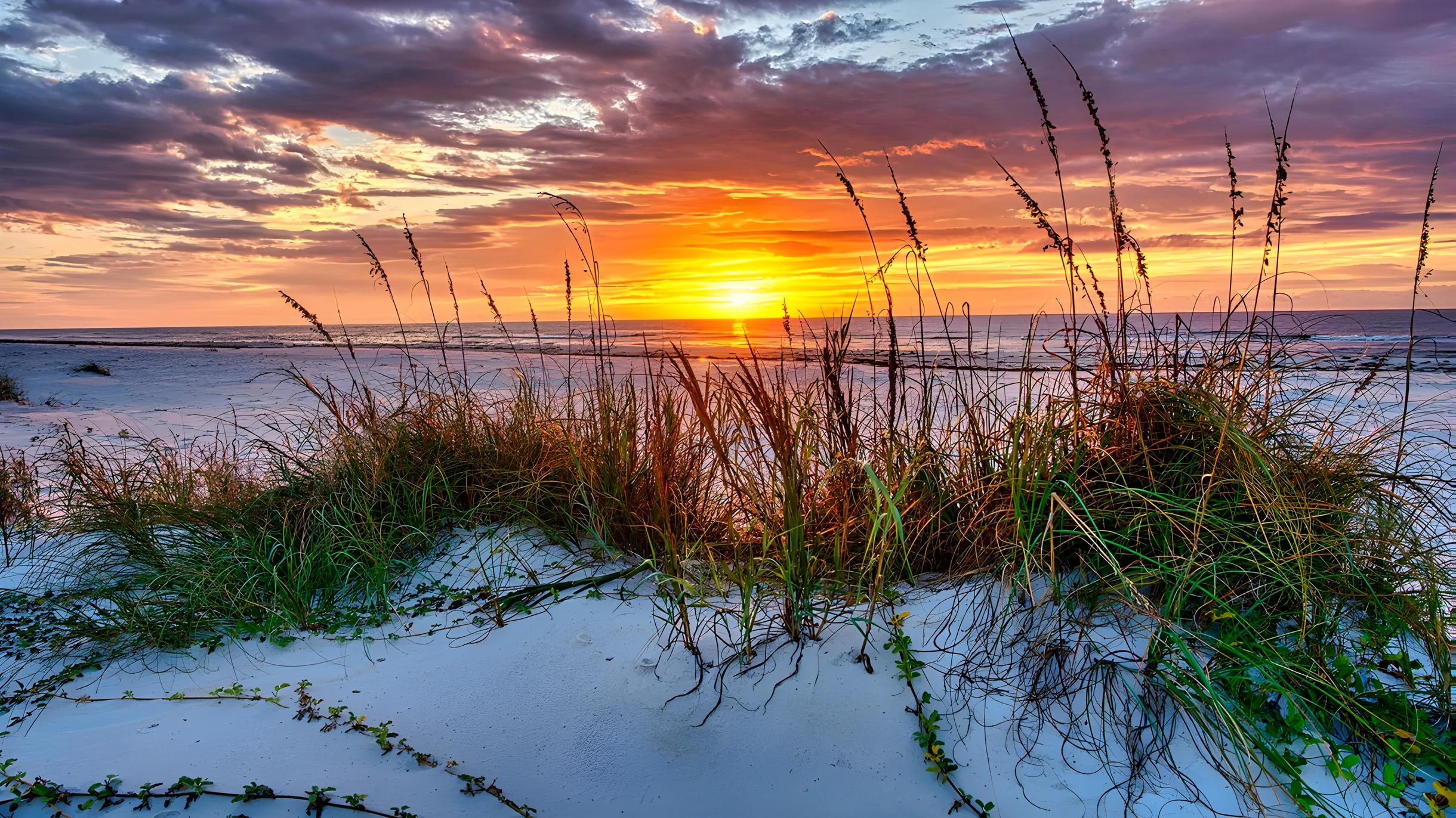 Wander St. George Tides #74