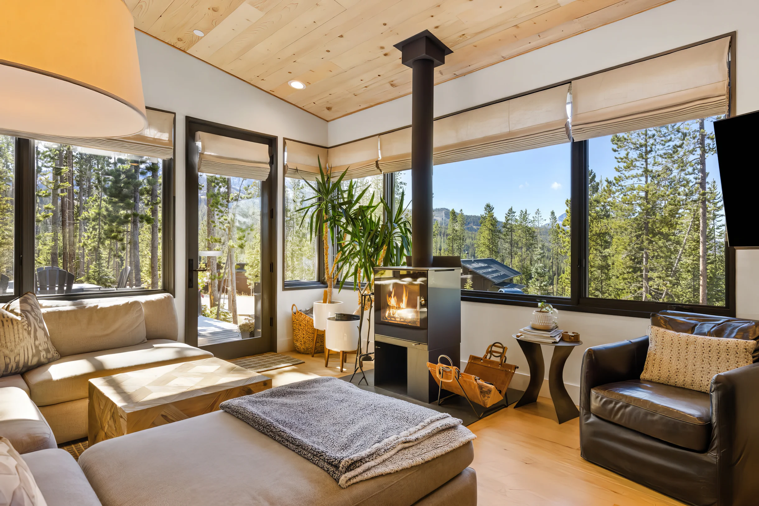 Wander Big Sky Spruce #3