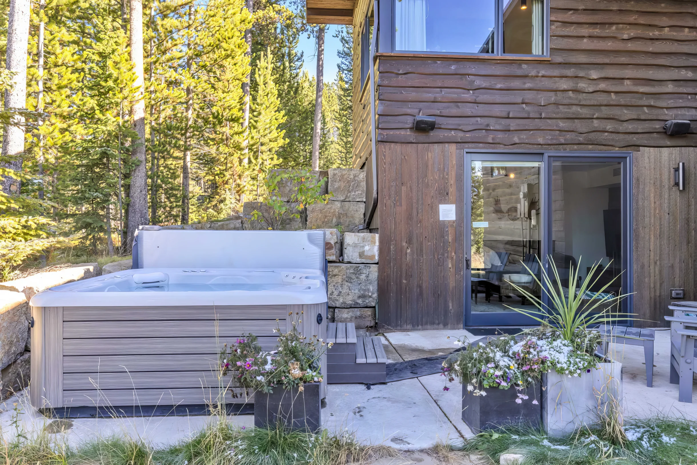 Wander Big Sky Spruce #4