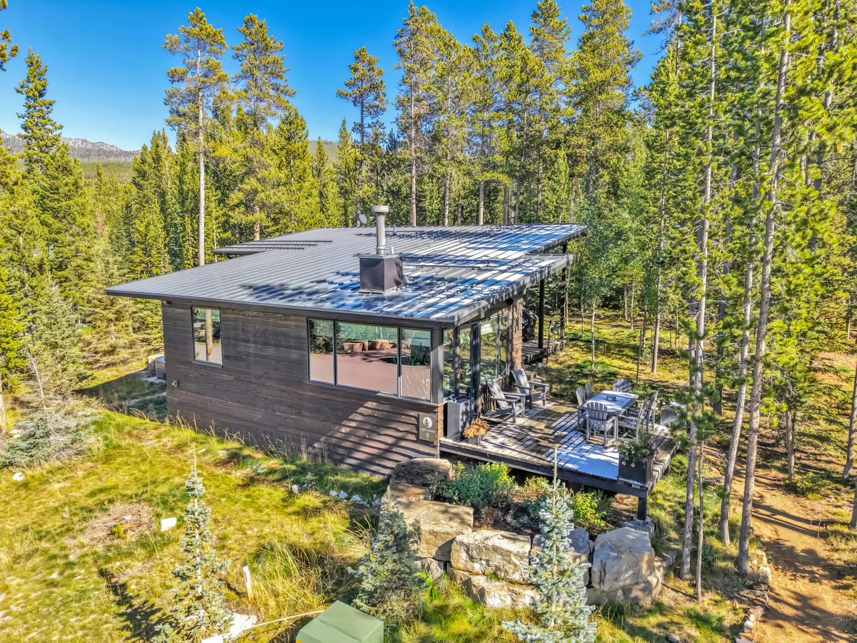 Wander Big Sky Spruce