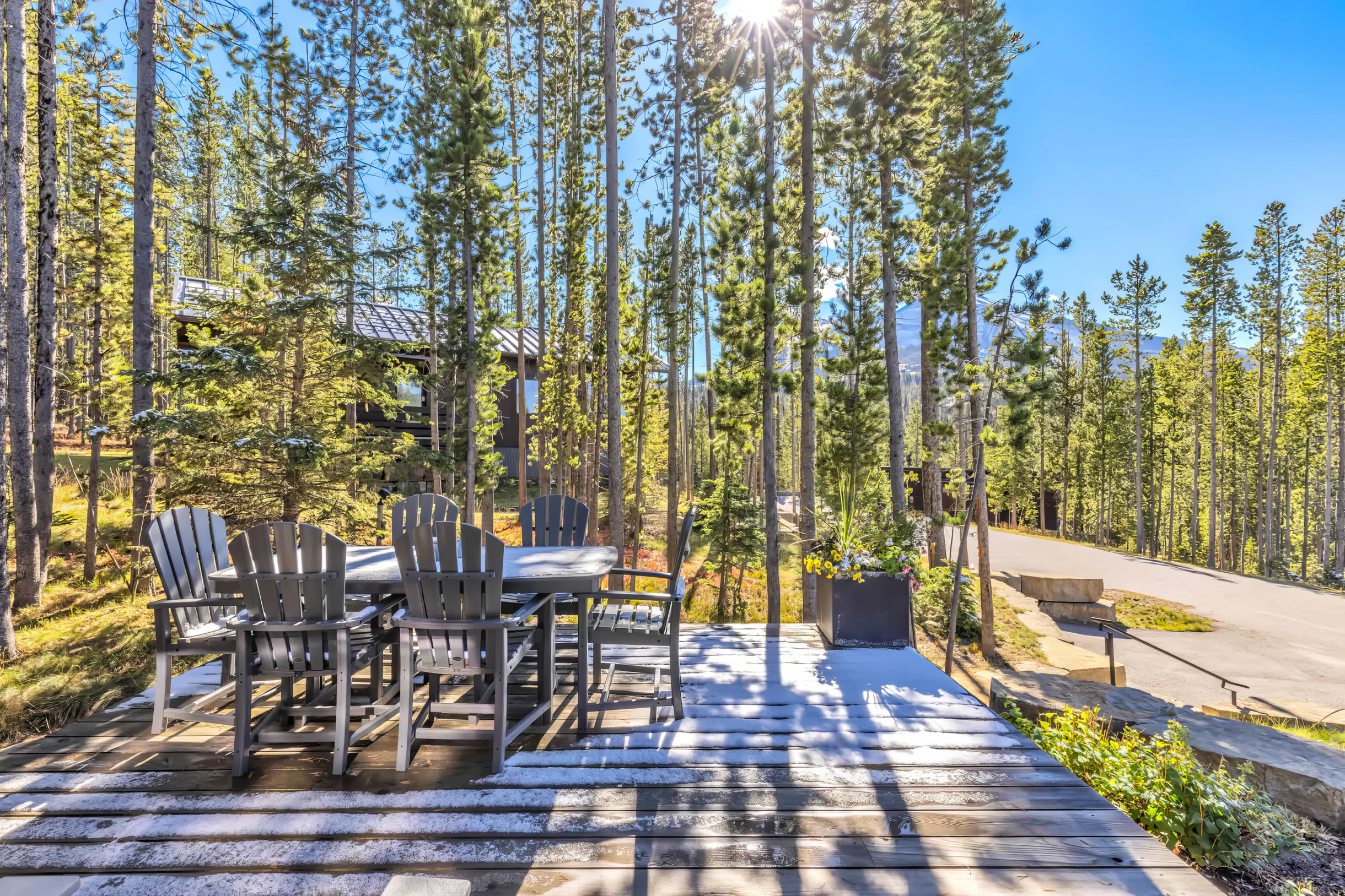 Wander Big Sky Spruce #18