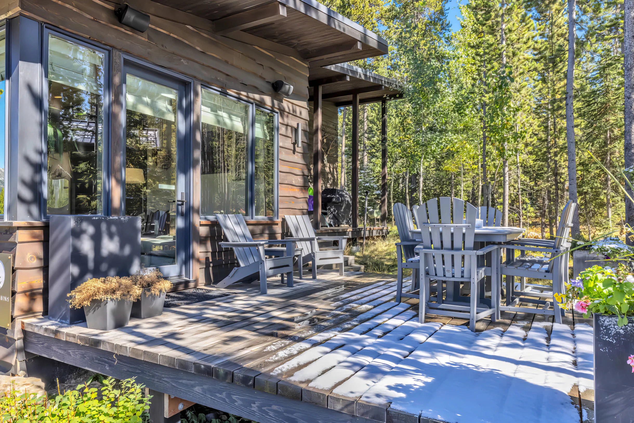 Wander Big Sky Spruce #6