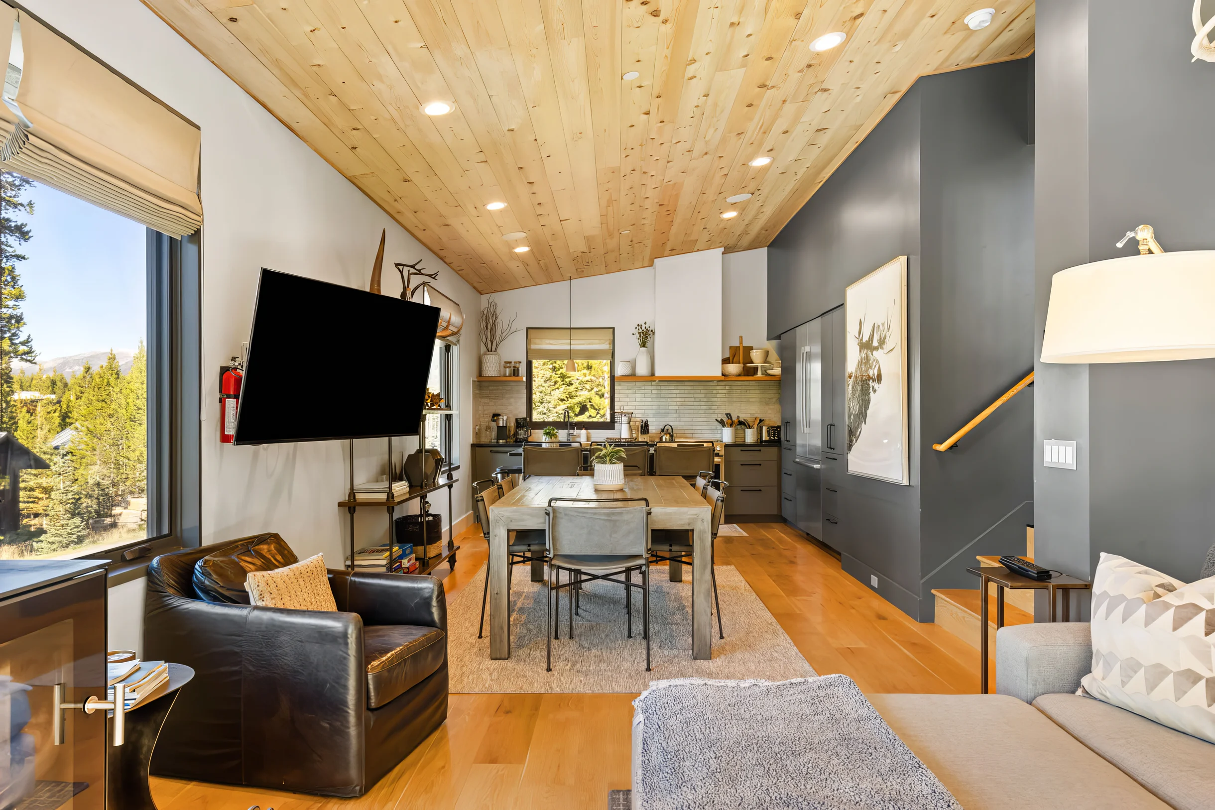 Wander Big Sky Spruce #30