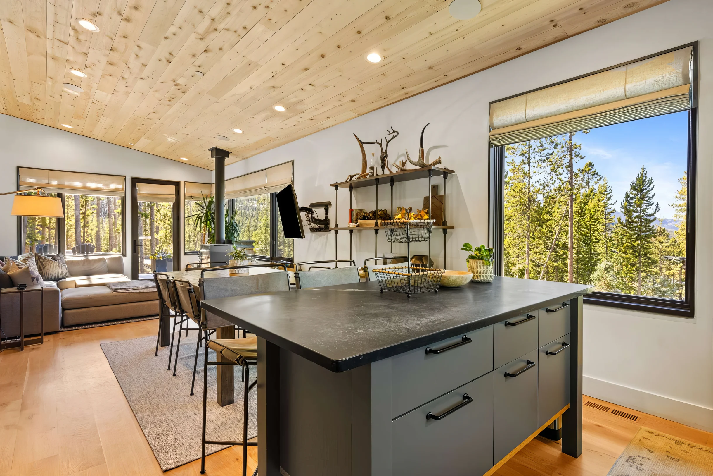 Wander Big Sky Spruce #21