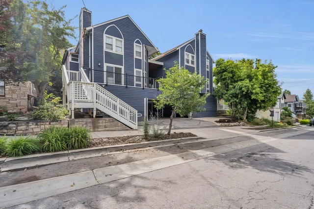 Wander Park City Treeview #4