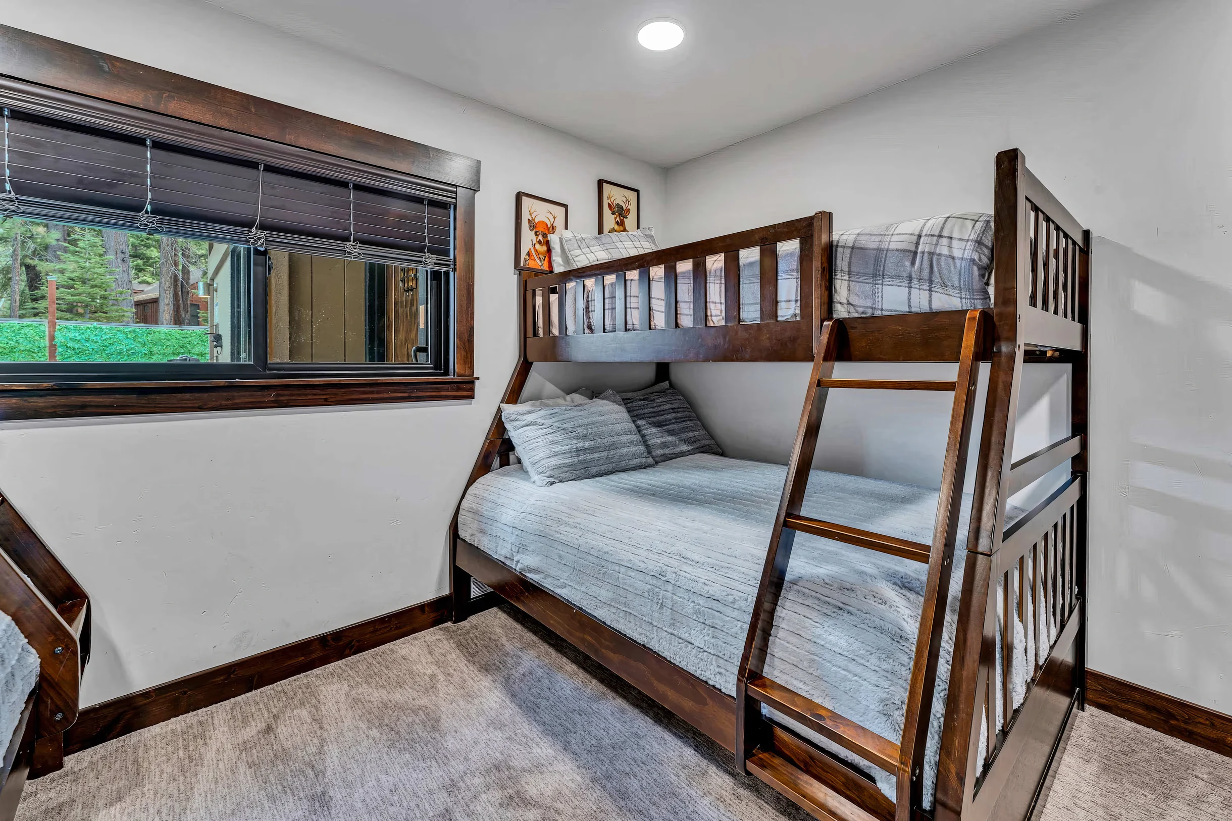 Wander Truckee Timberline #35