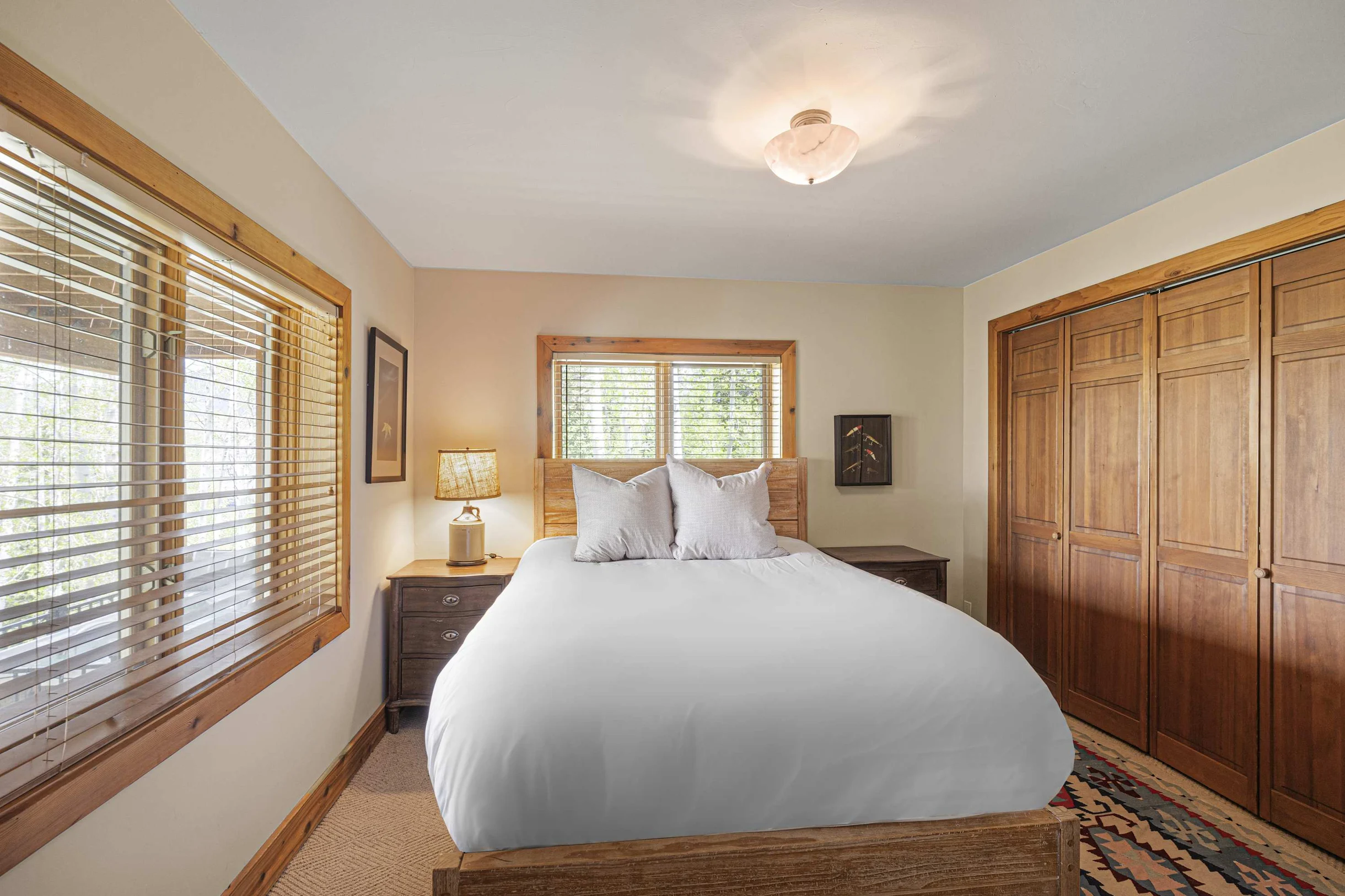 Wander Telluride Mountainview #6