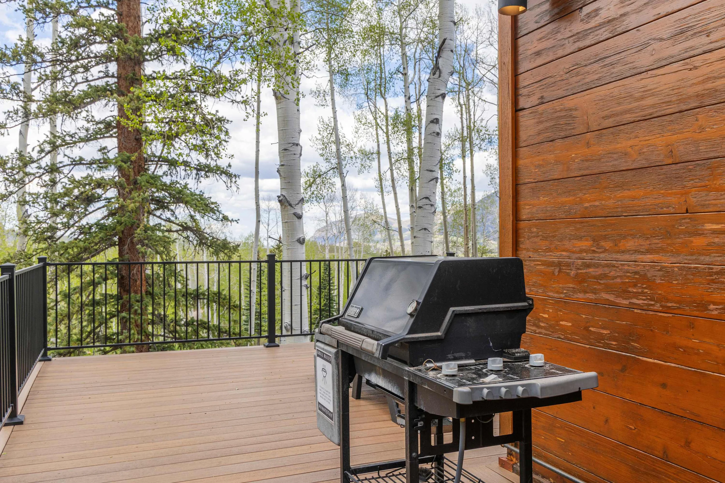 Wander Telluride Mountainview #50