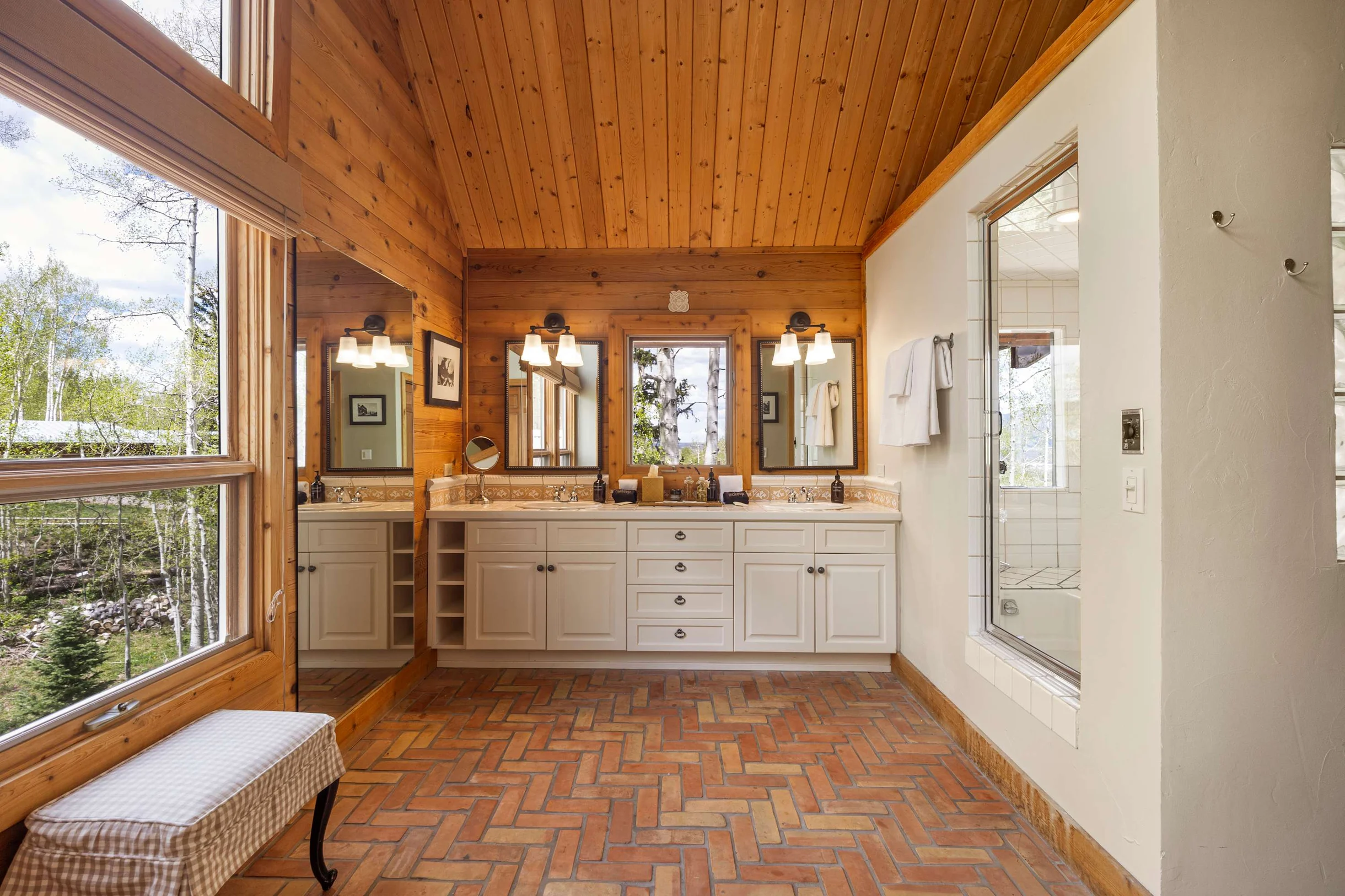 Wander Telluride Mountainview #23