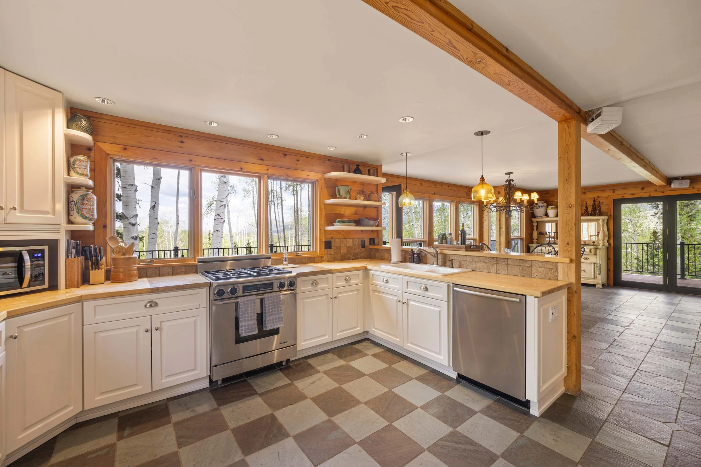 Wander Telluride Mountainview #36