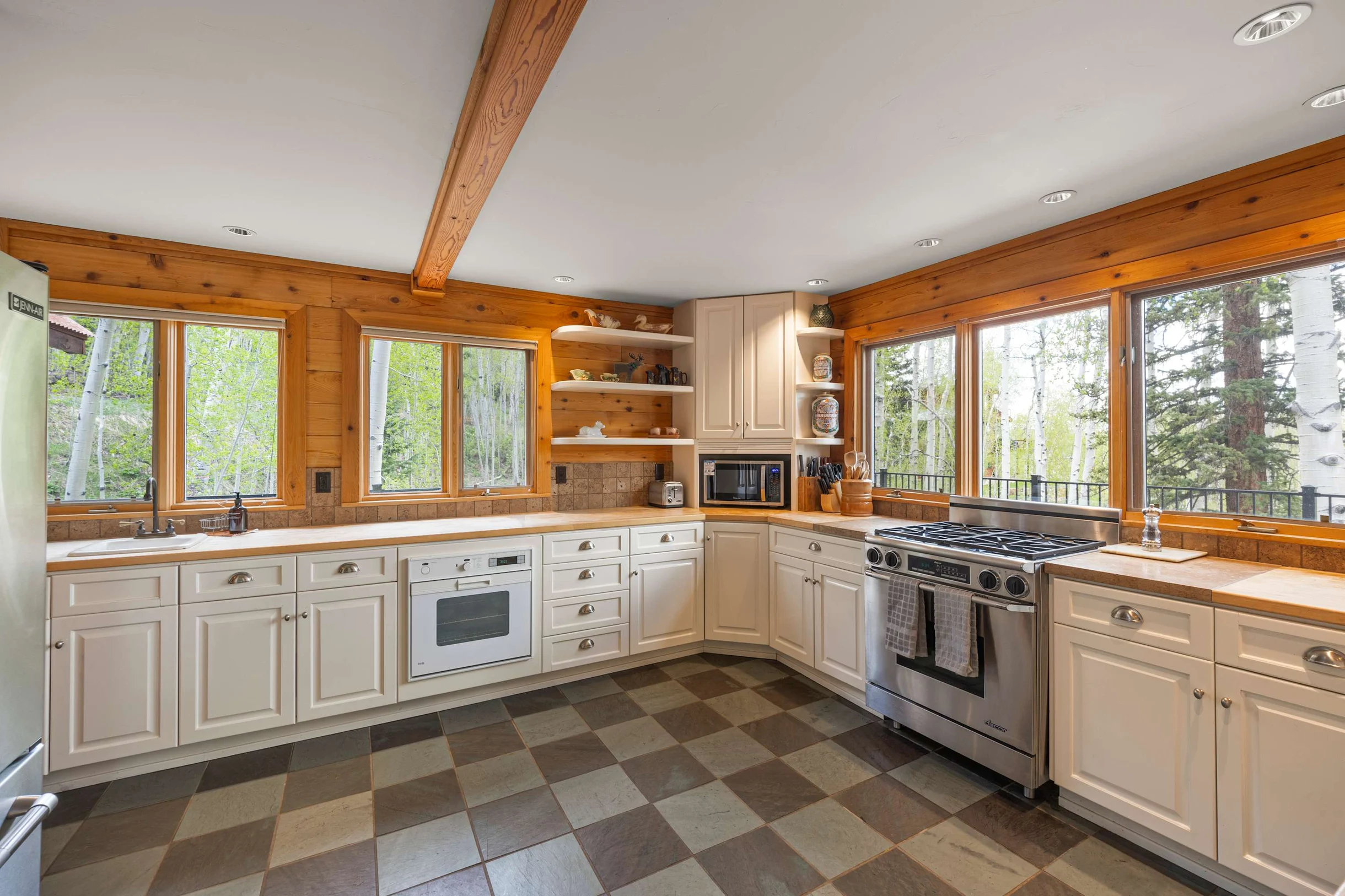 Wander Telluride Mountainview #42