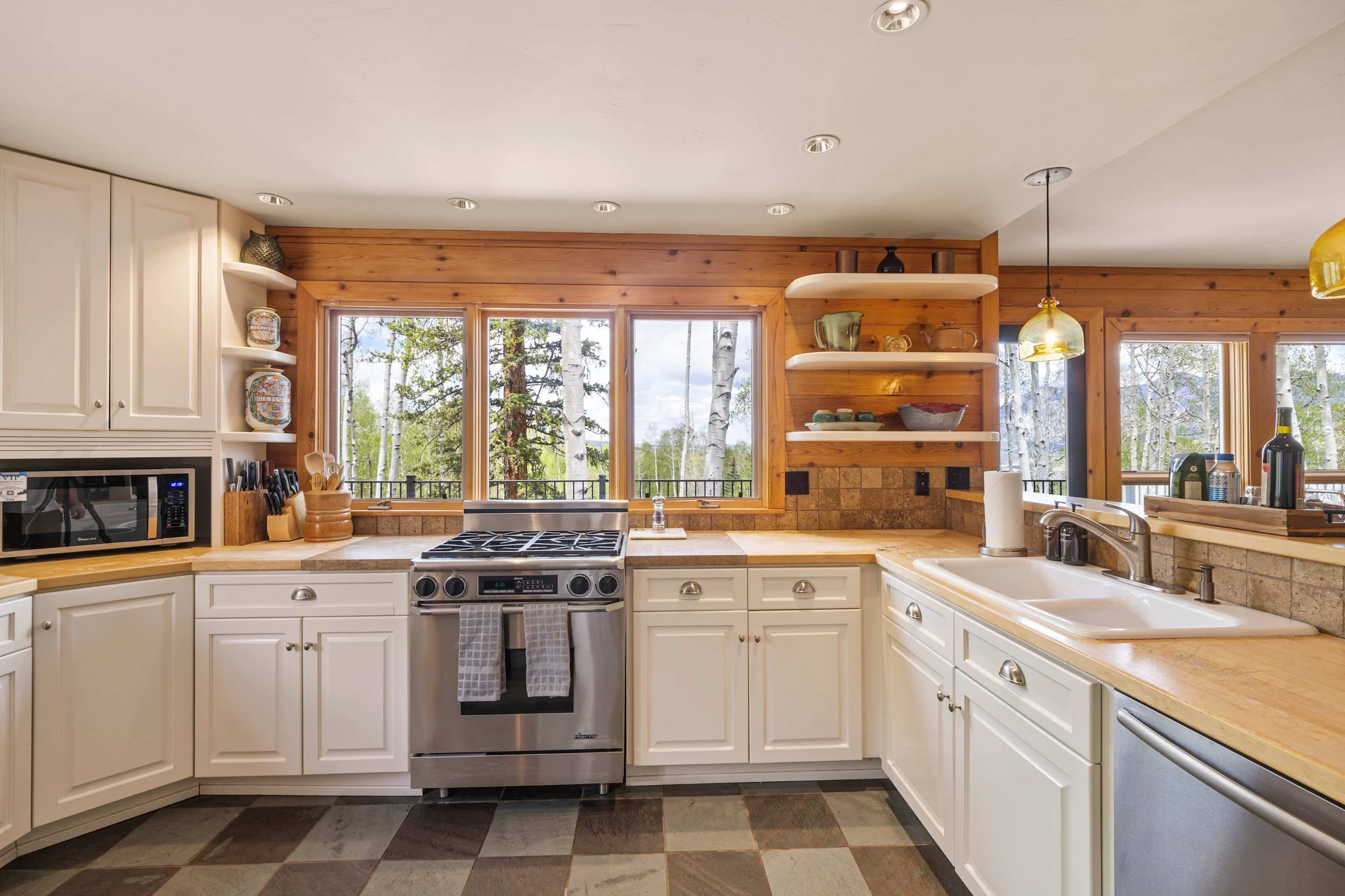 Wander Telluride Mountainview #17