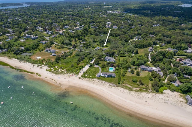 Wander Cape Cod Dunes #4