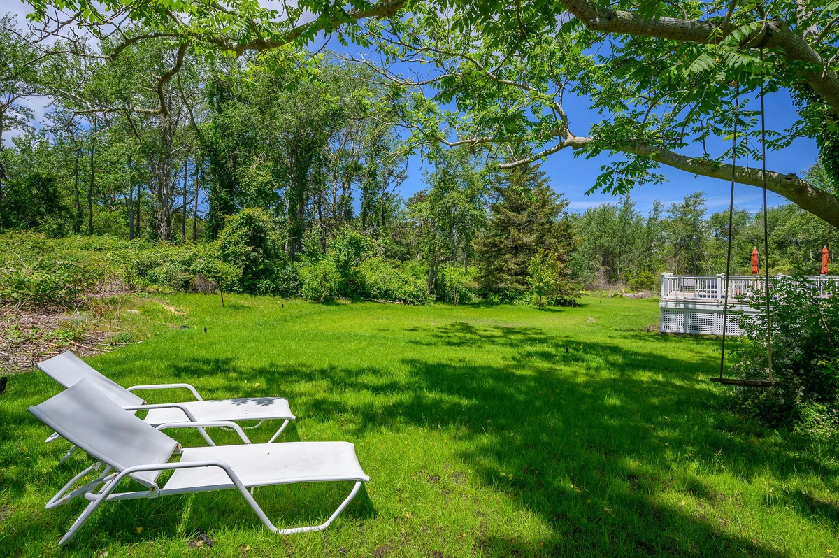 Wander Cape Cod Dunes