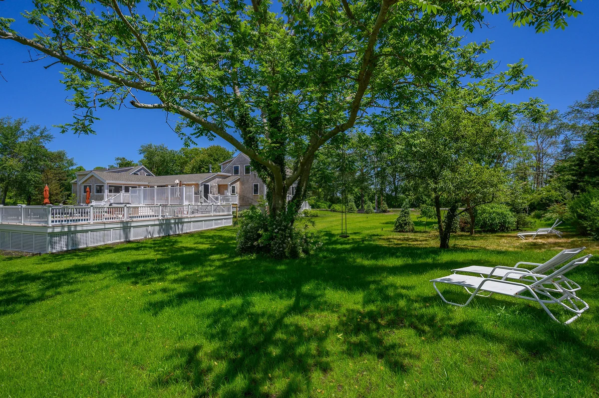 Wander Cape Cod Dunes #28