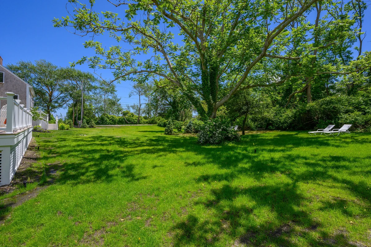 Wander Cape Cod Dunes #48
