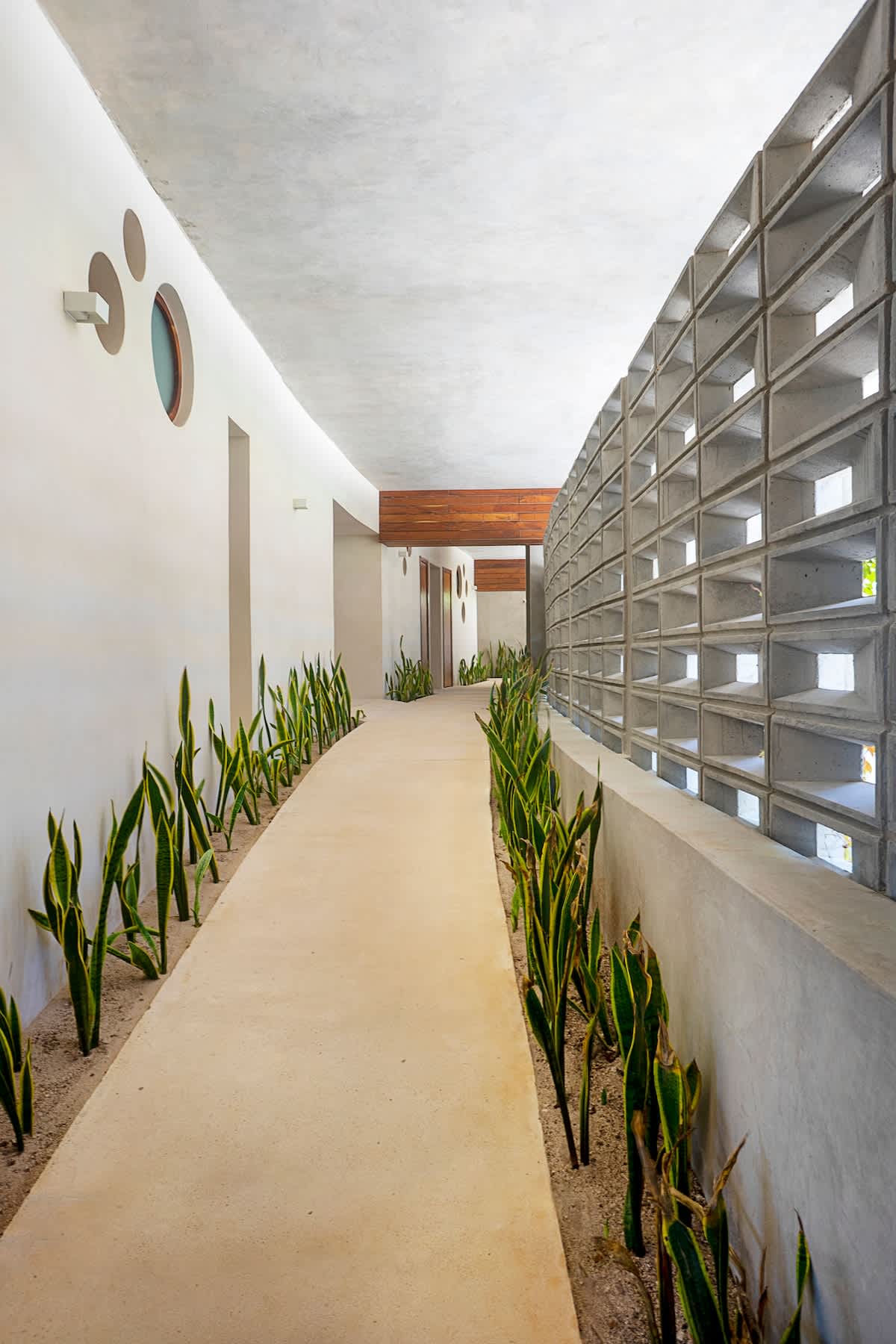 Wander Tankah Cenotes #17