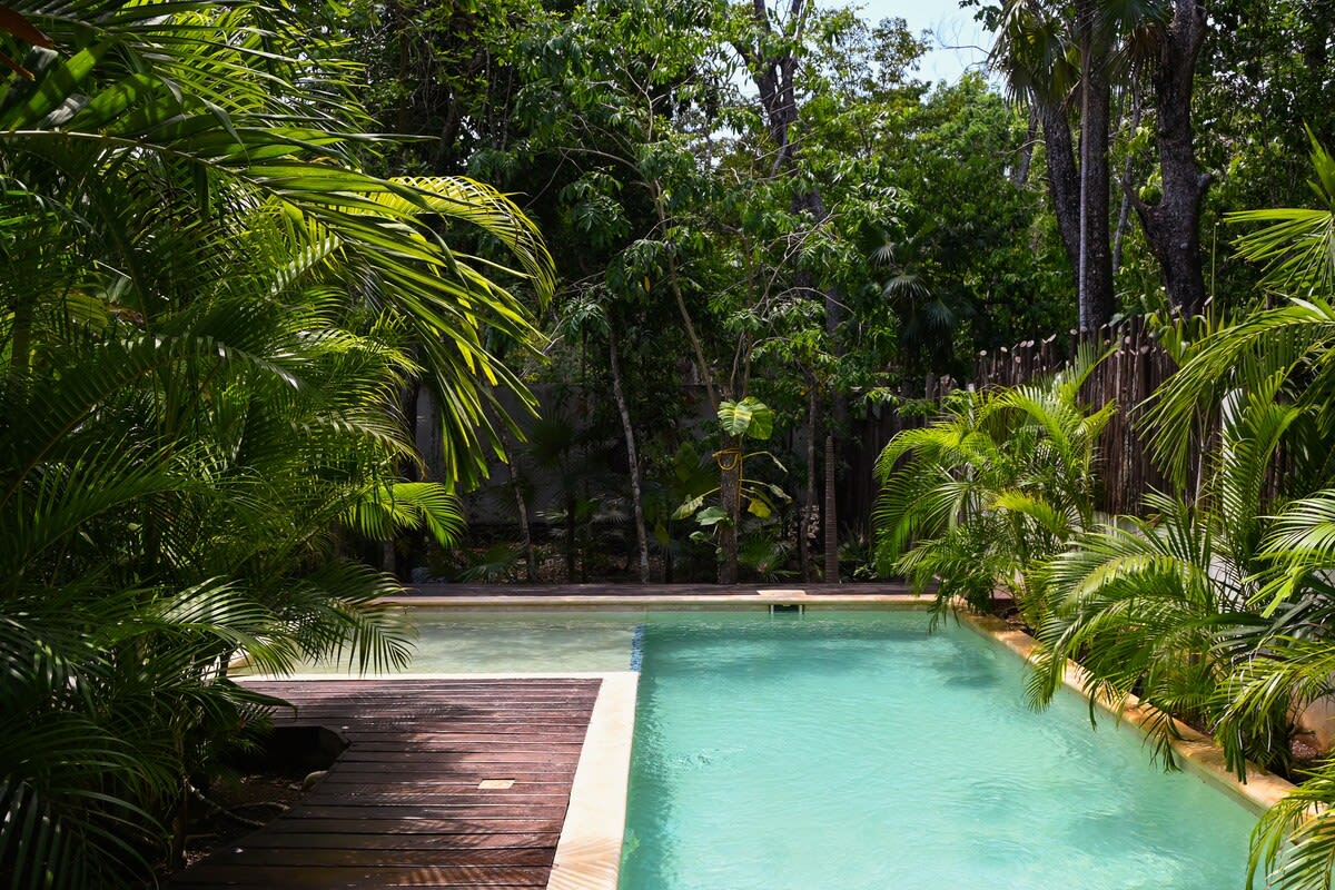 Wander Tulum Tides #48