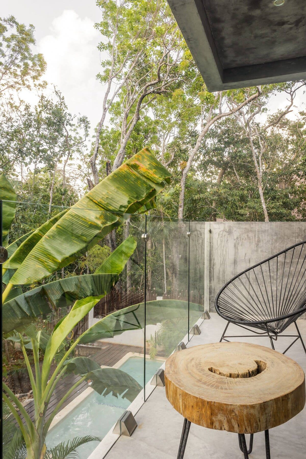 Wander Tulum Tides #31