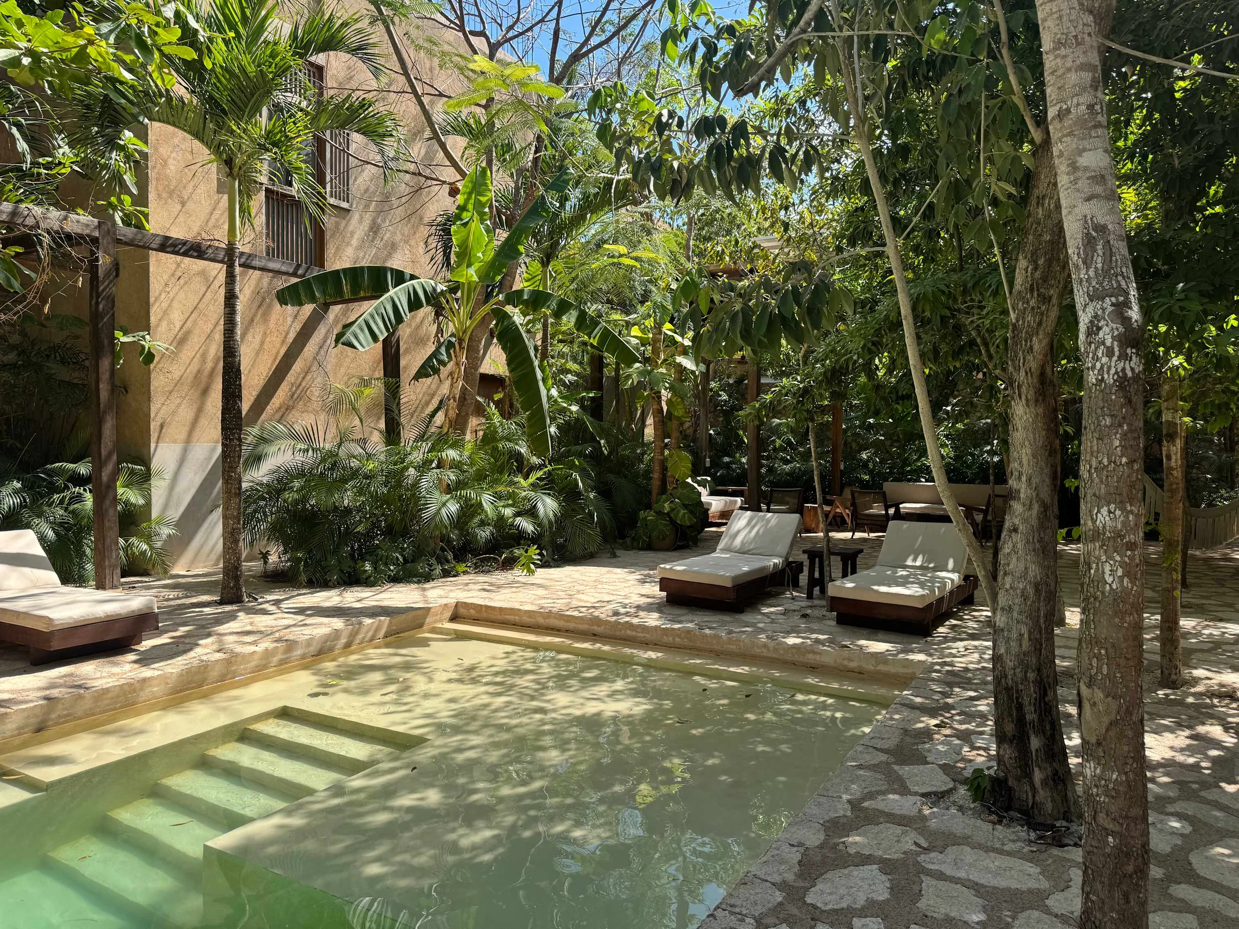 Wander Tulum Estero #9