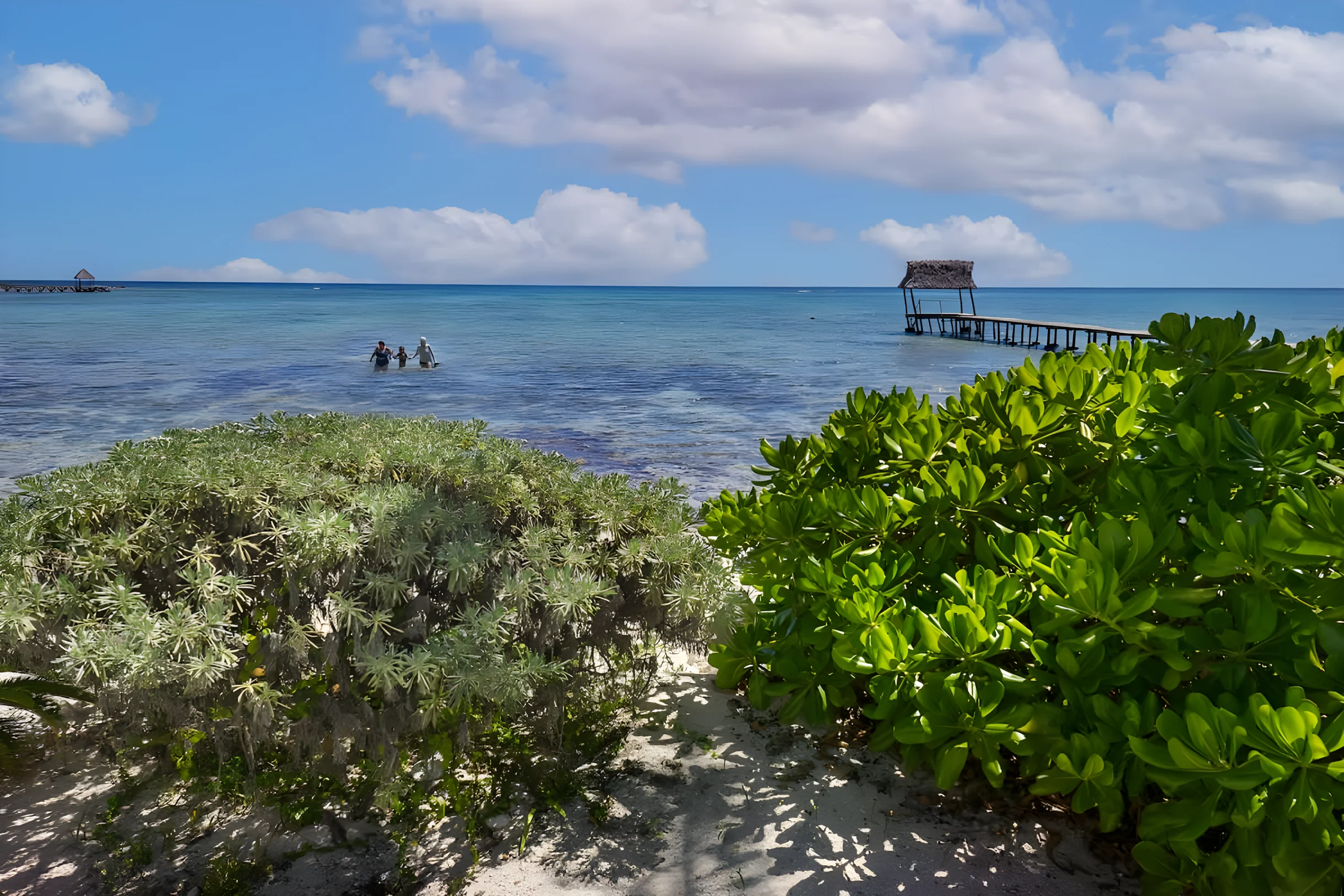 Wander Tulum Drift #30