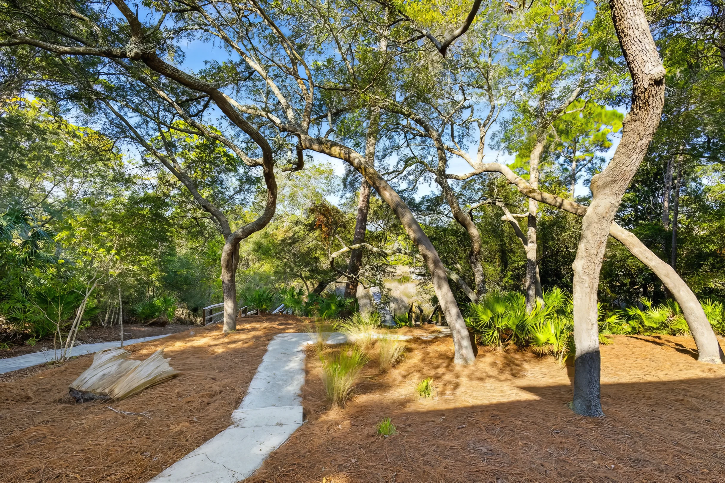 Wander Inlet Beach Serenity #18