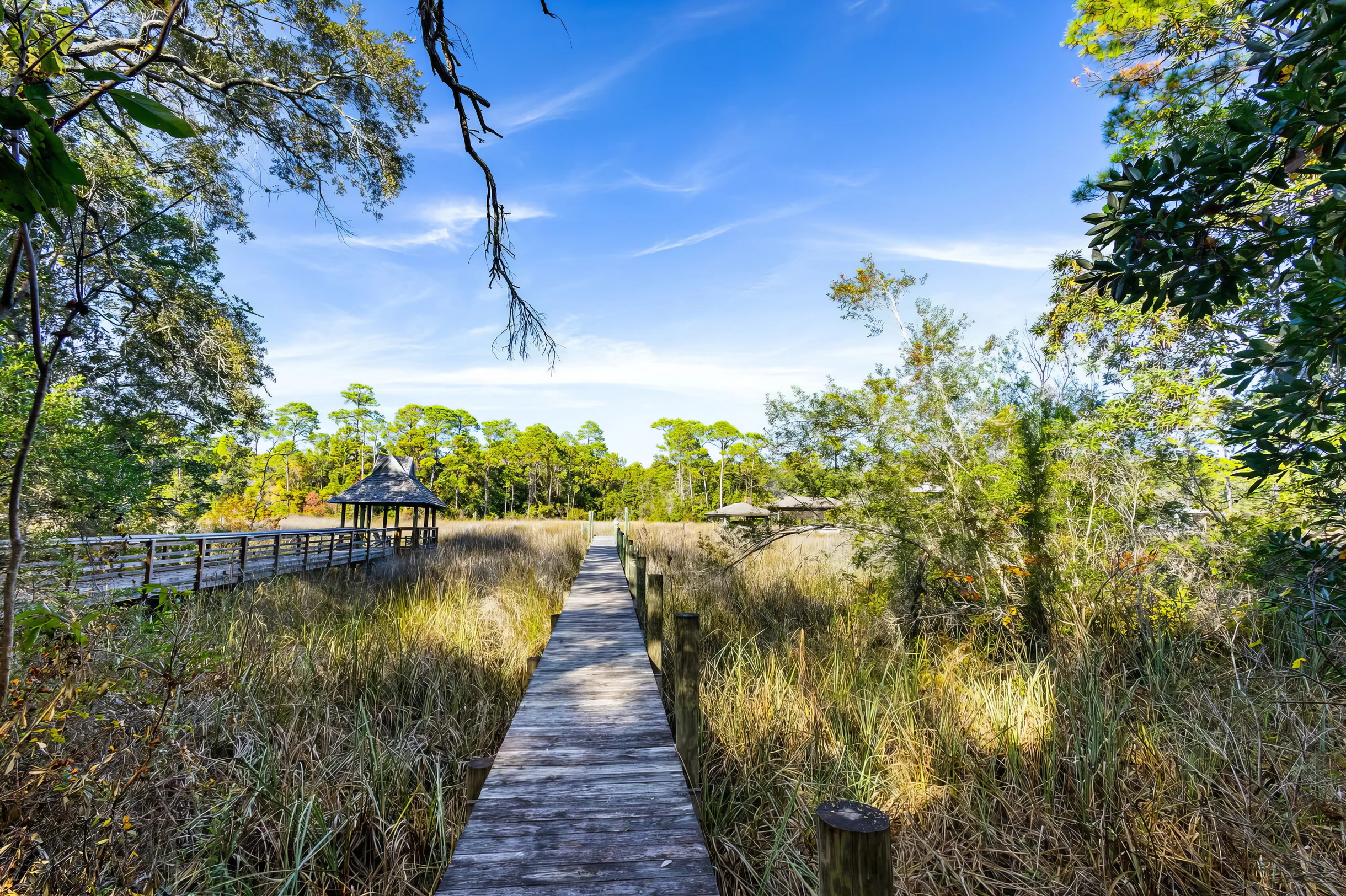Wander Inlet Beach Serenity #40