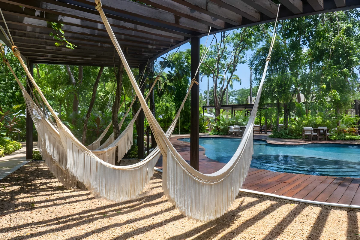 Wander Tulum Mangroves #16