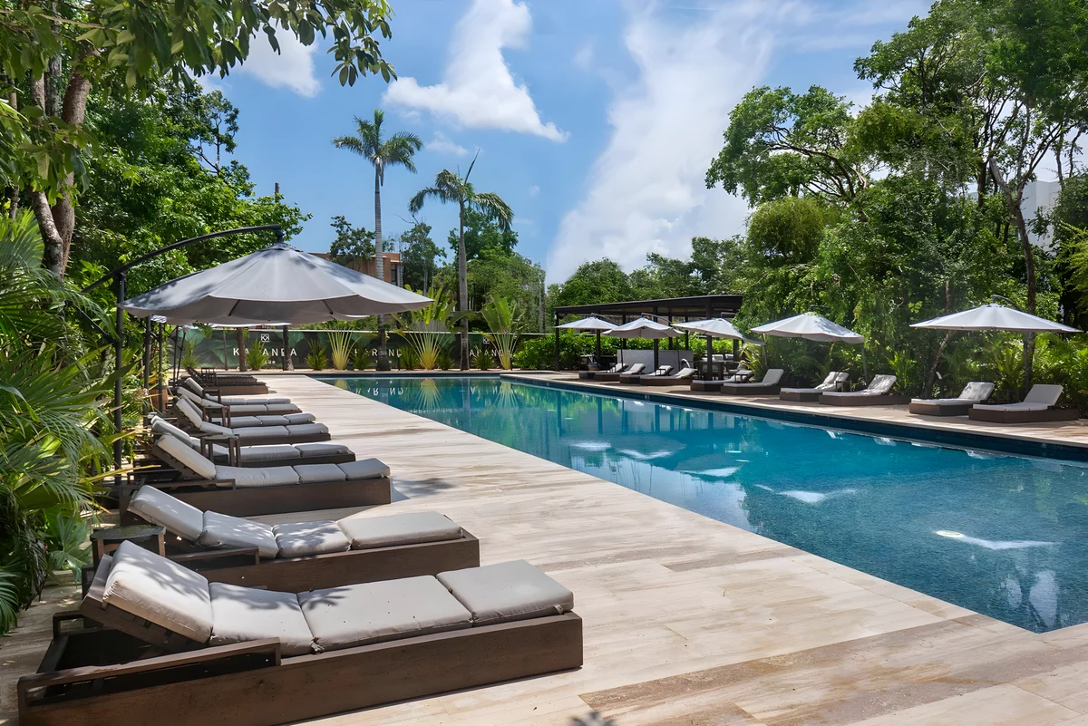 Wander Tulum Mangroves #20