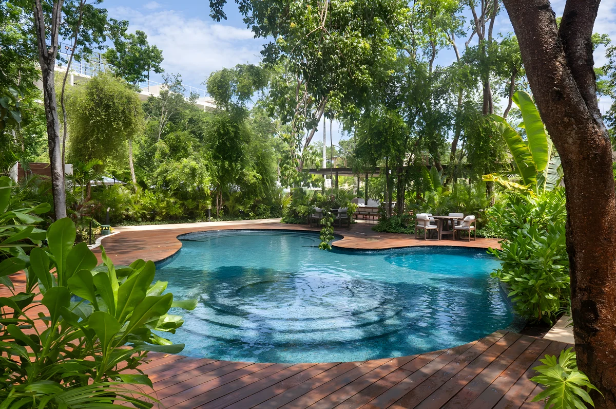 Wander Tulum Mangroves