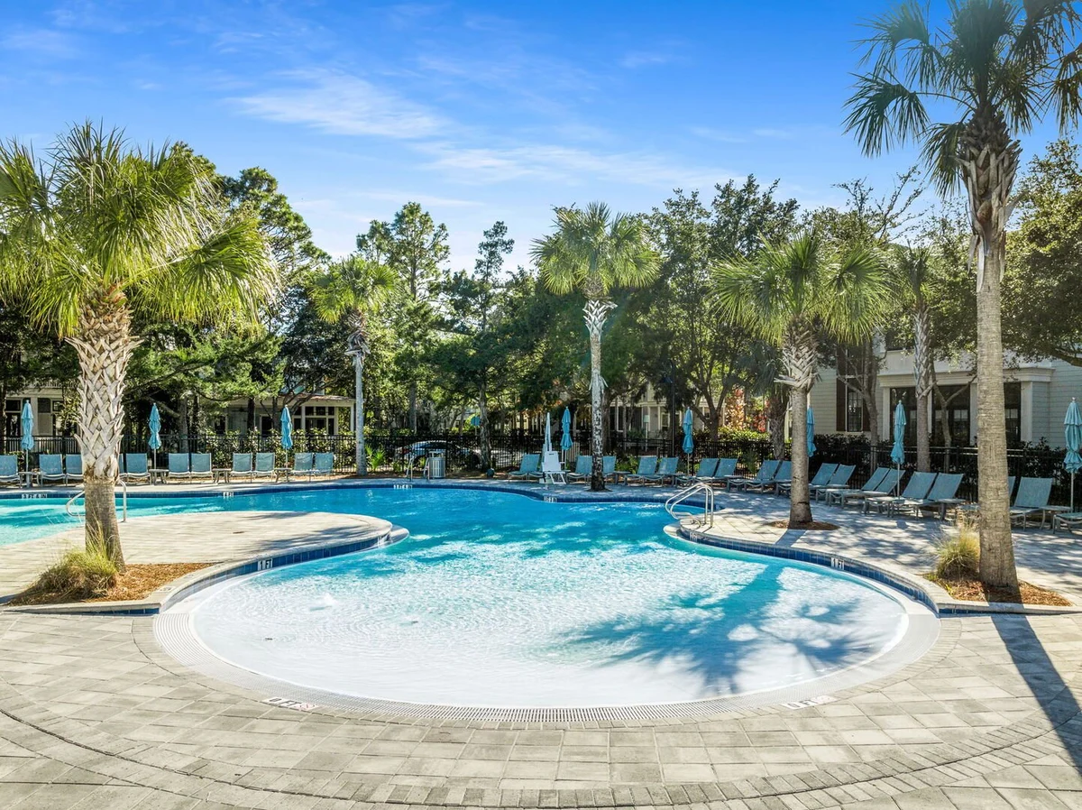 Wander Santa Rosa Haze #48