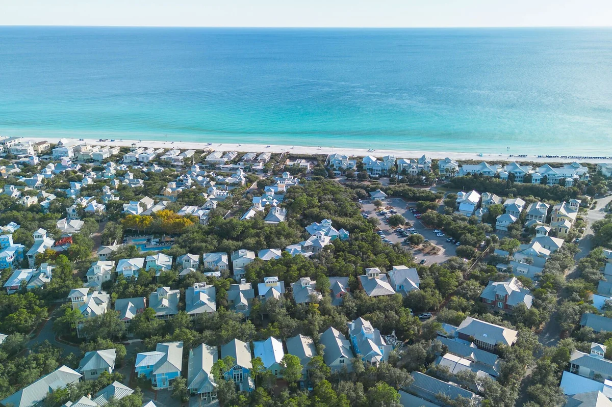 Wander Santa Rosa Haze #51