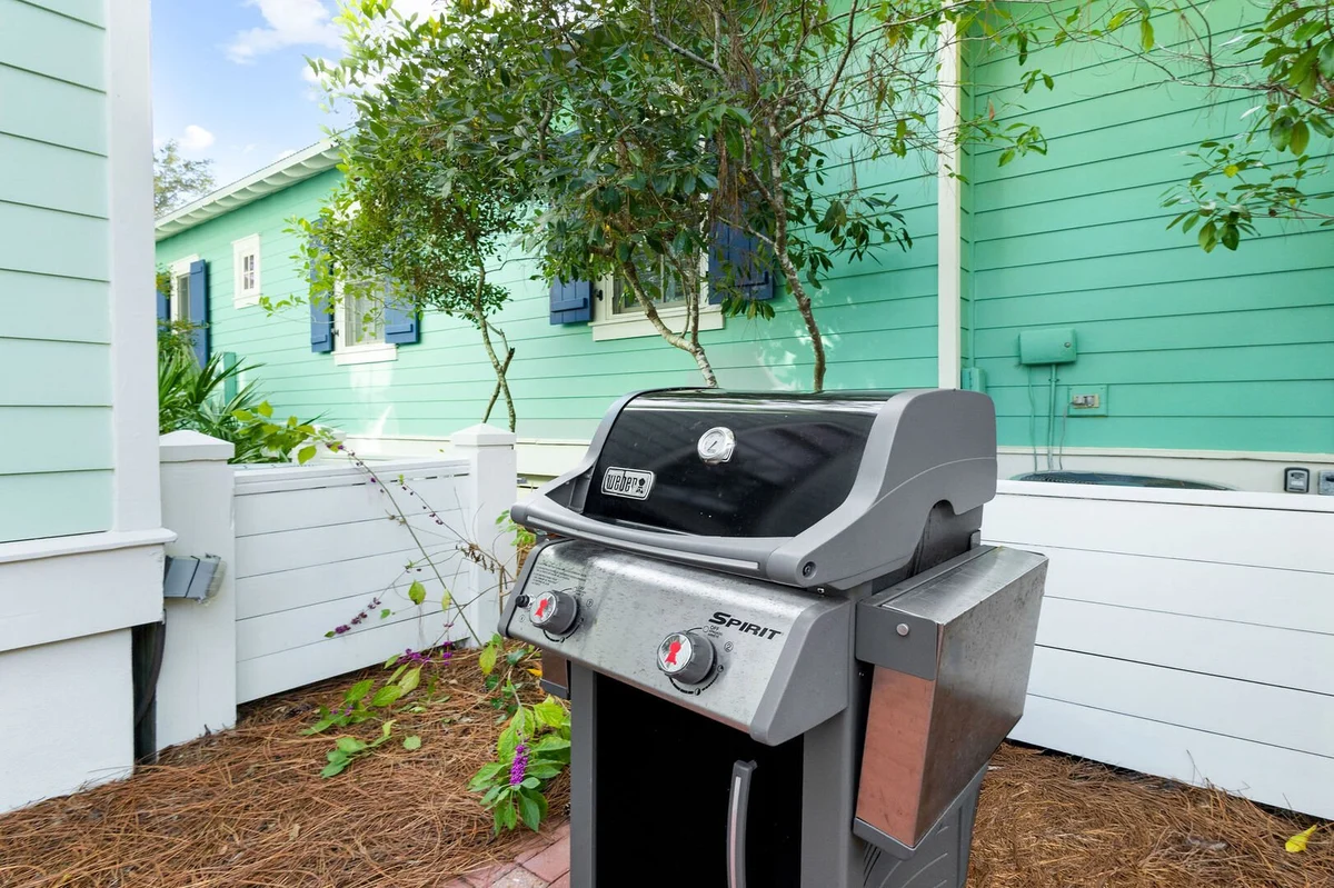 Wander Santa Rosa Haze #6