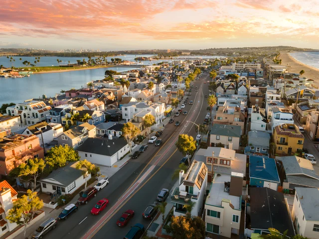 Wander San Diego Driftwood #4