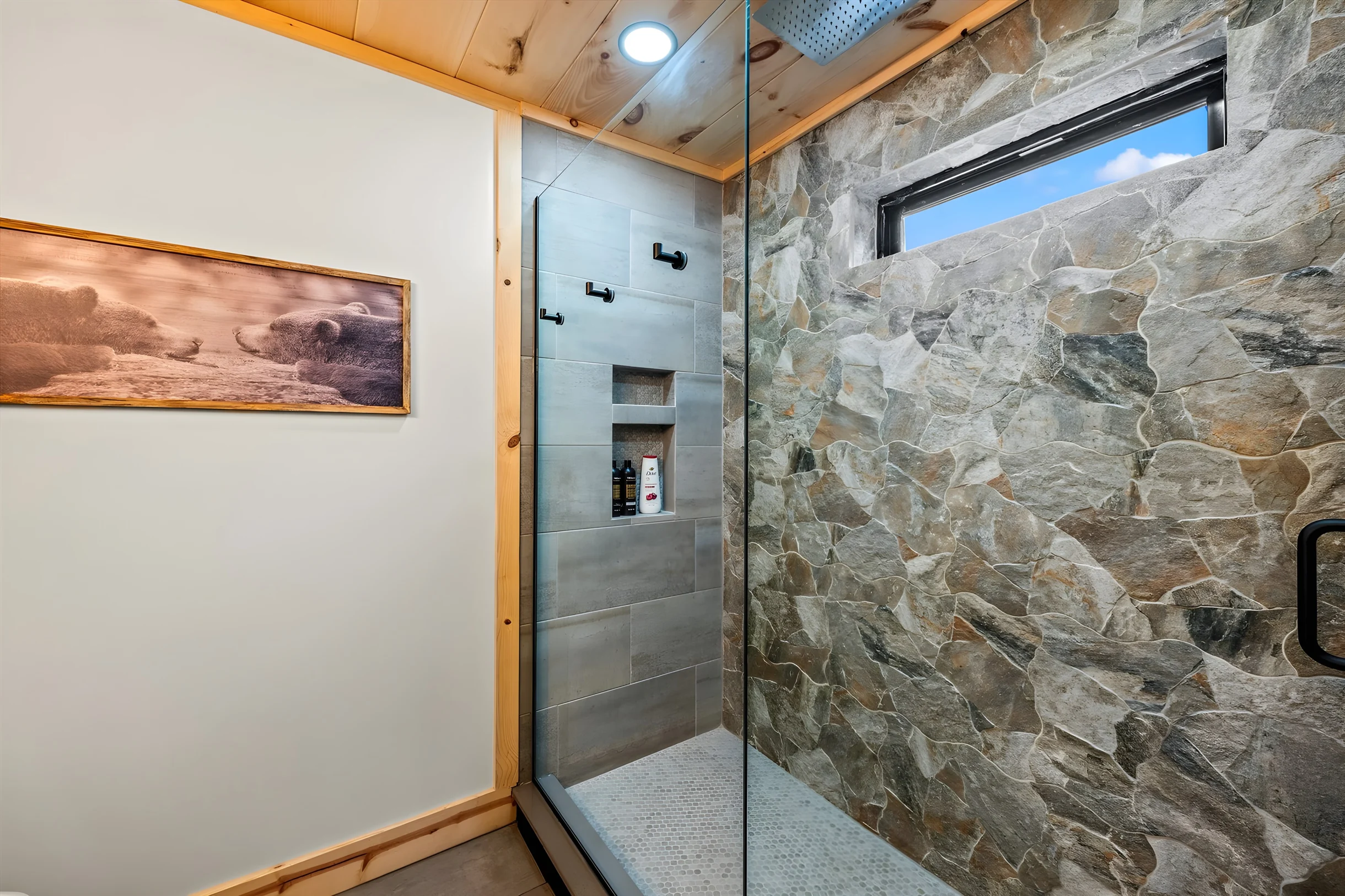 Wander Cosby Mountain #30