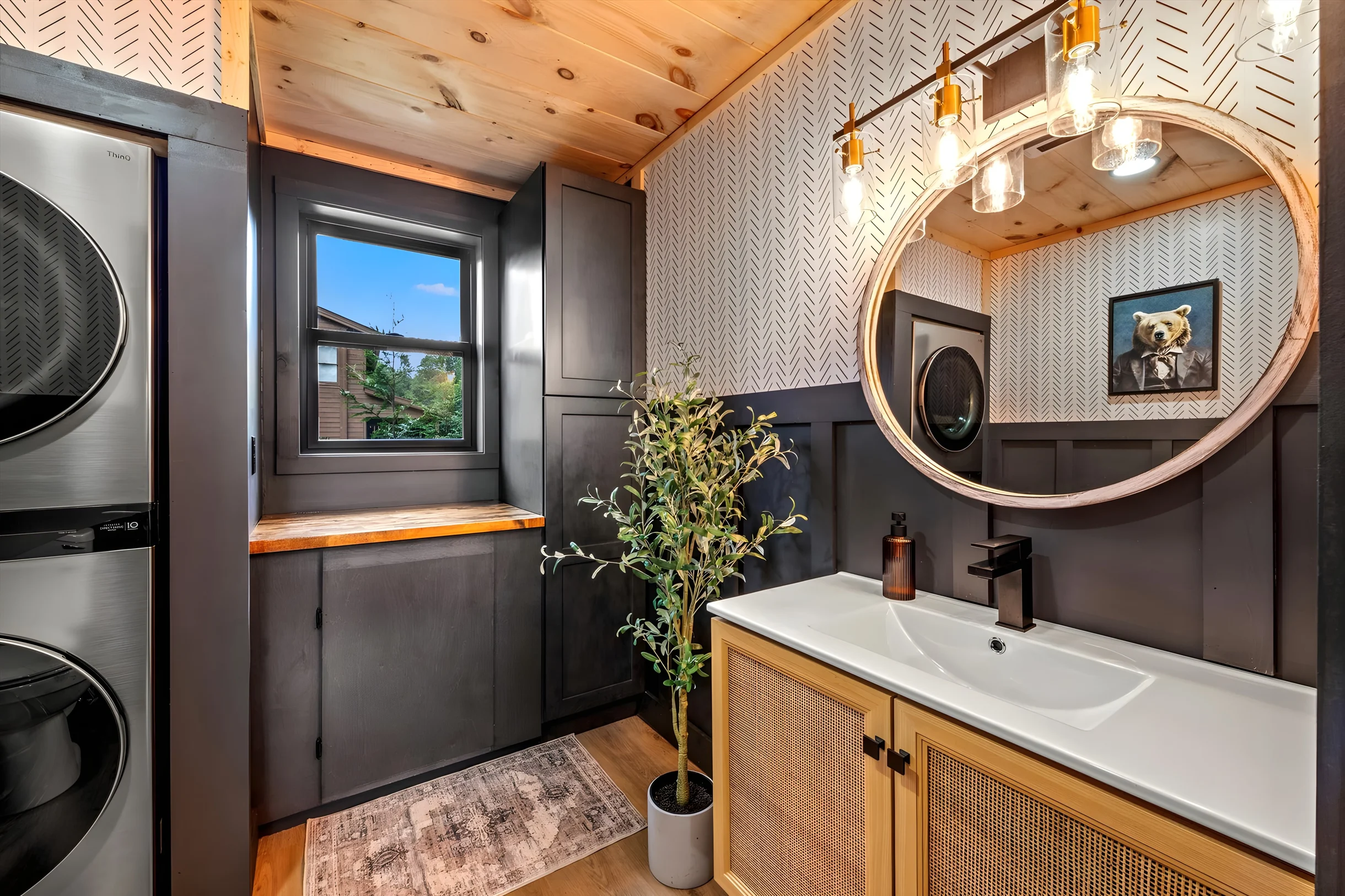 Wander Cosby Mountain #23