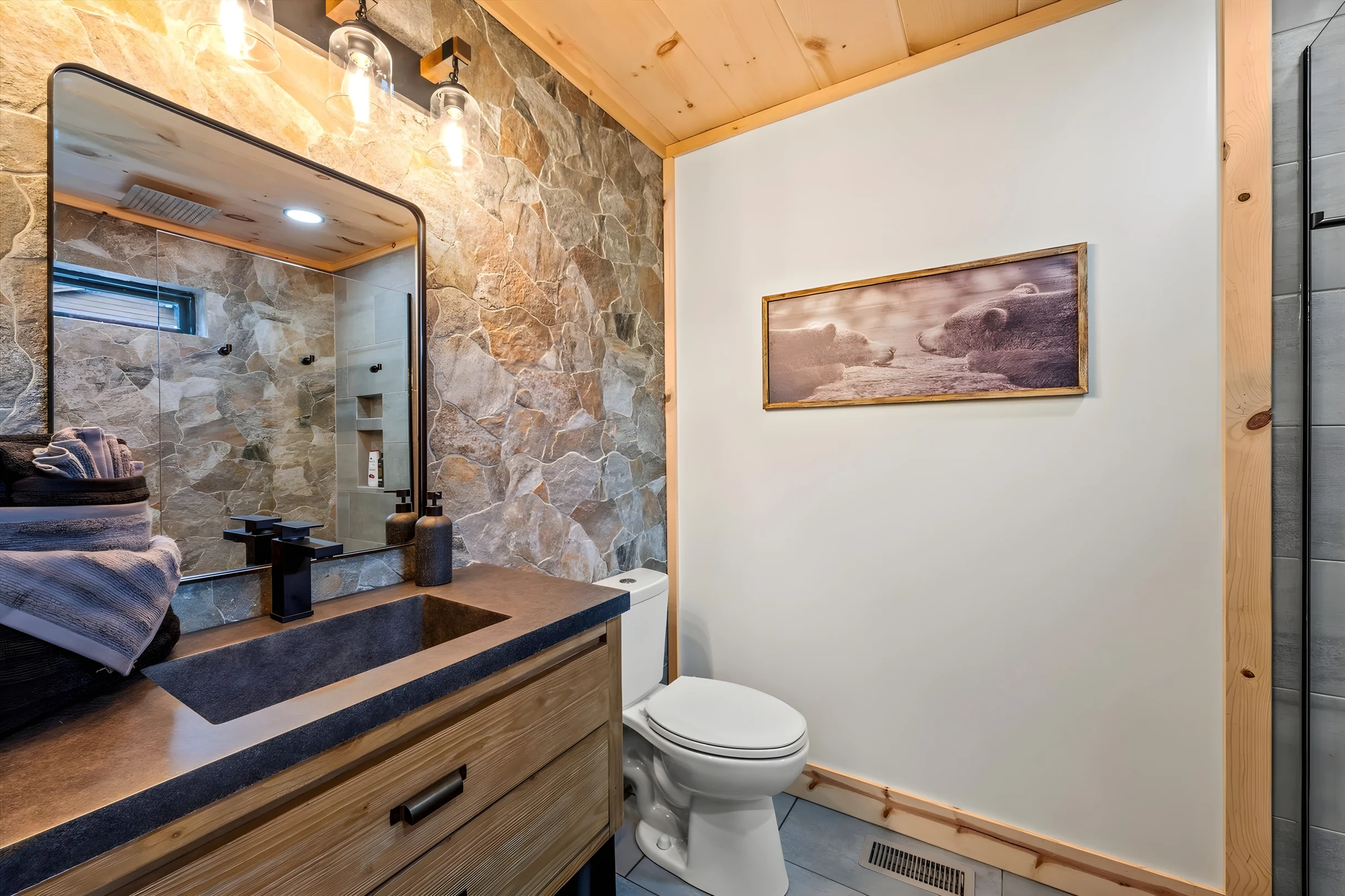 Wander Cosby Mountain #24