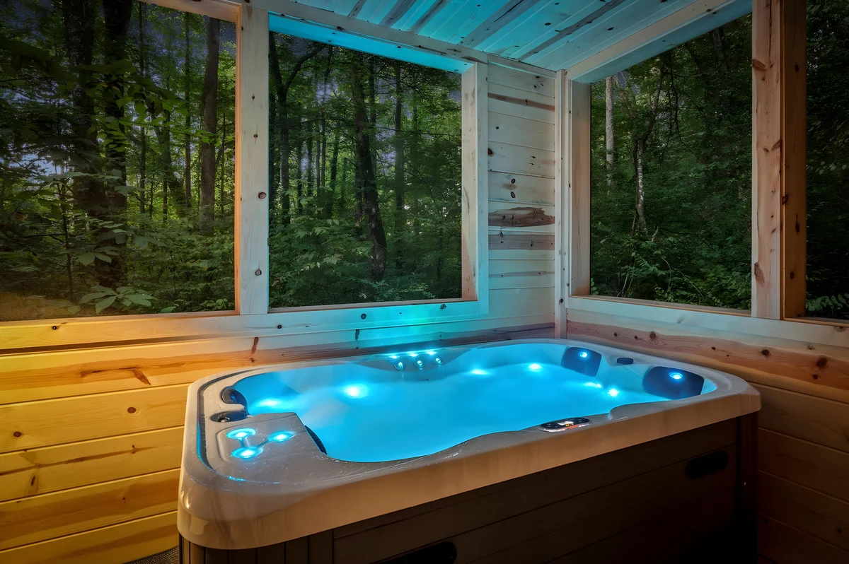 Cosby Smoky Pines property photo 5