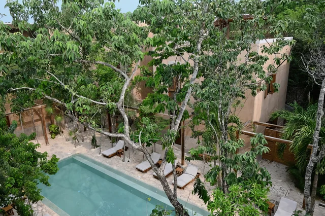 Wander Tulum Jungle Glade #5