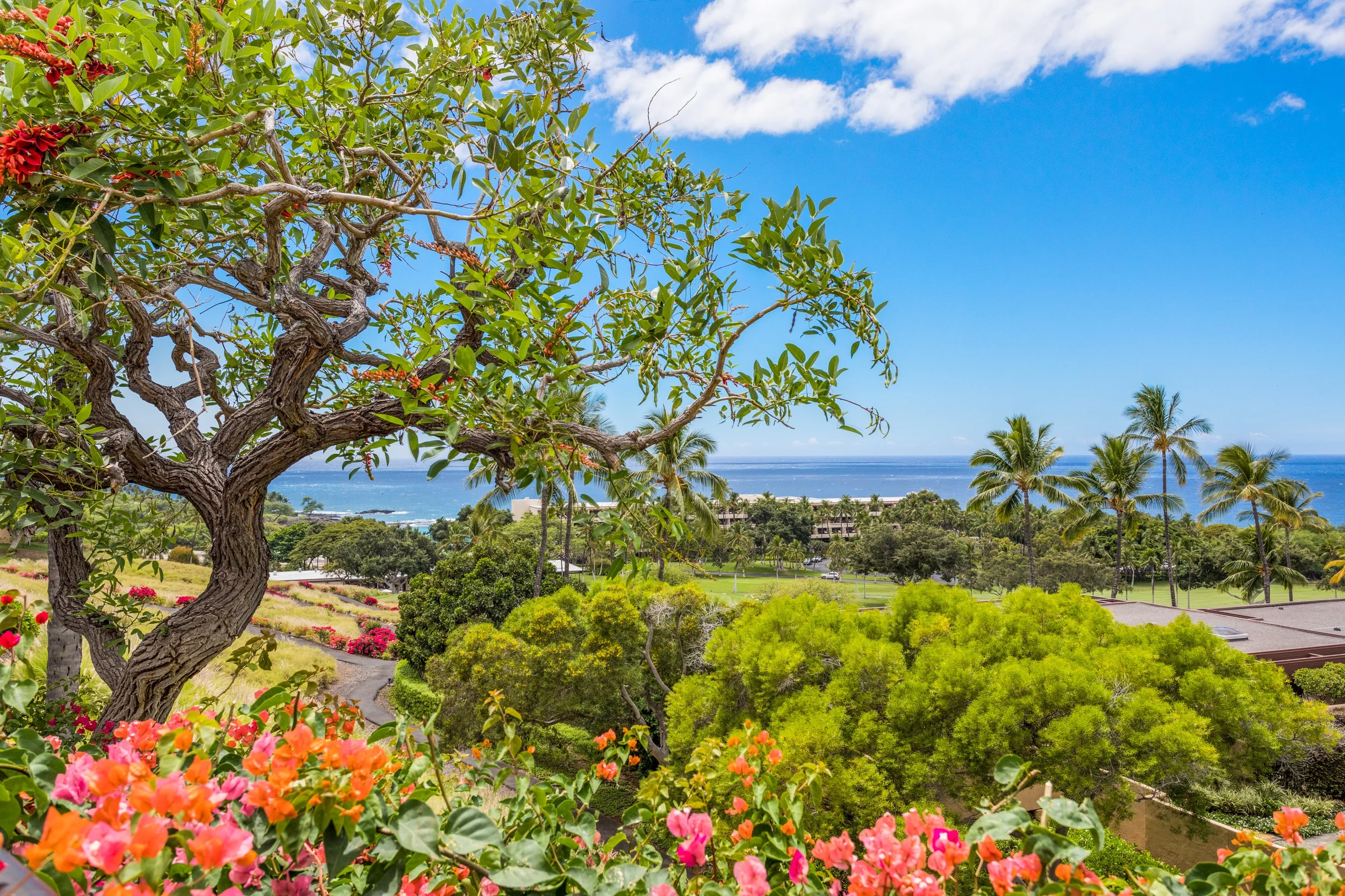 4BD Villas (21) at Mauna Kea Resort #19