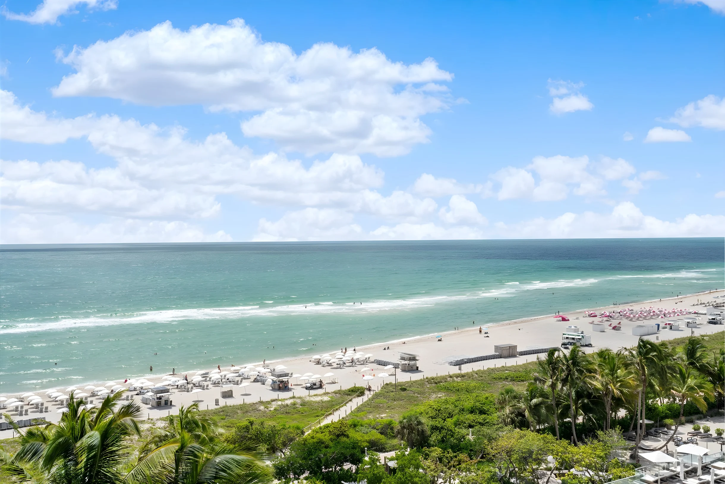 Wander Miami Beach Palms #2