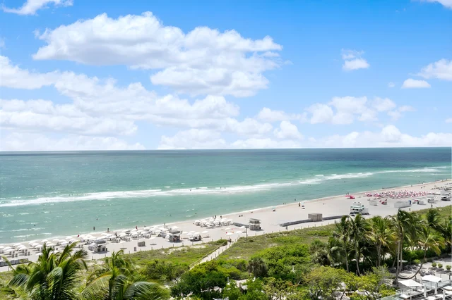 Wander Miami Beach Palms #2