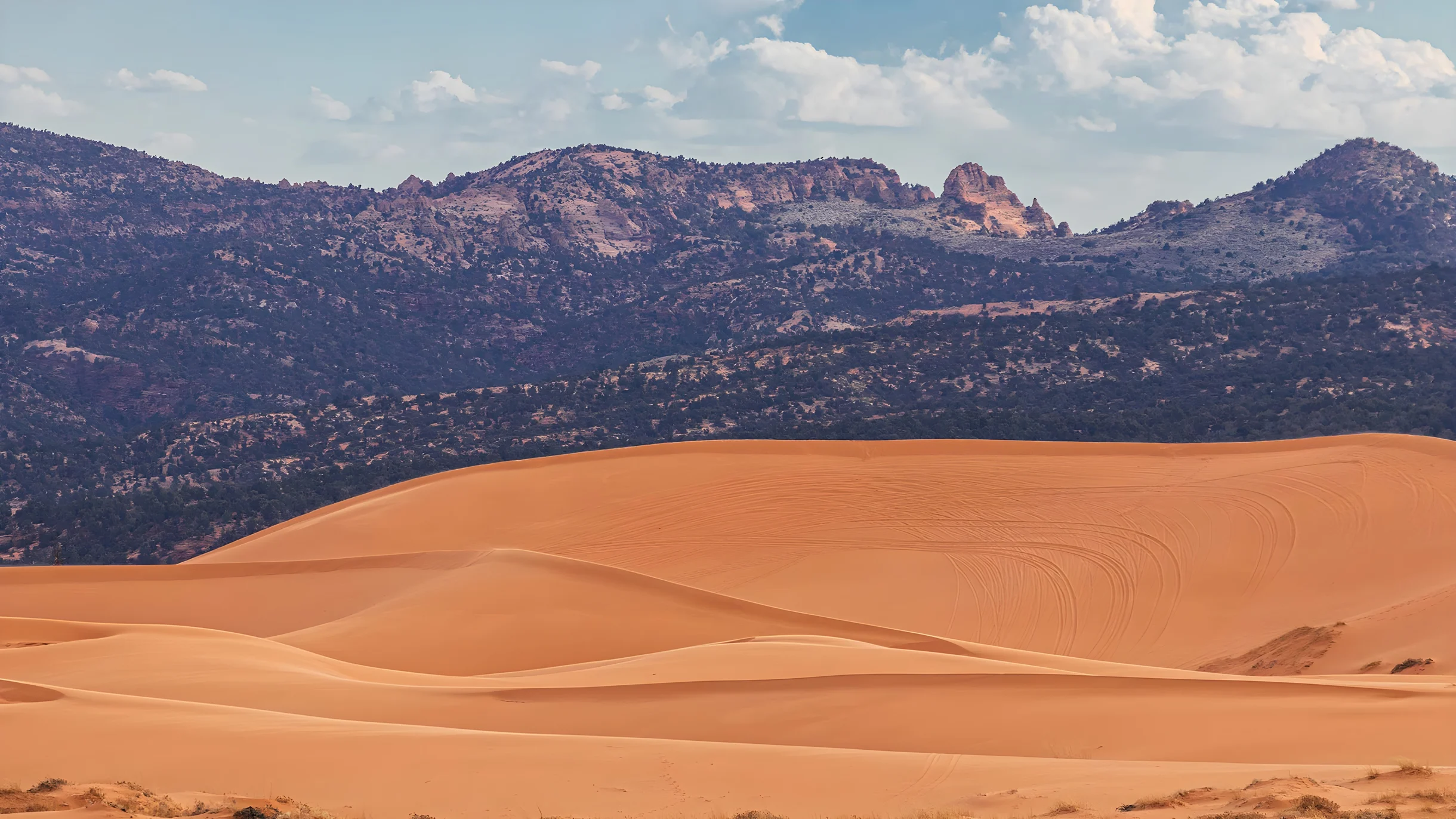 Wander Kanab Fairway #46