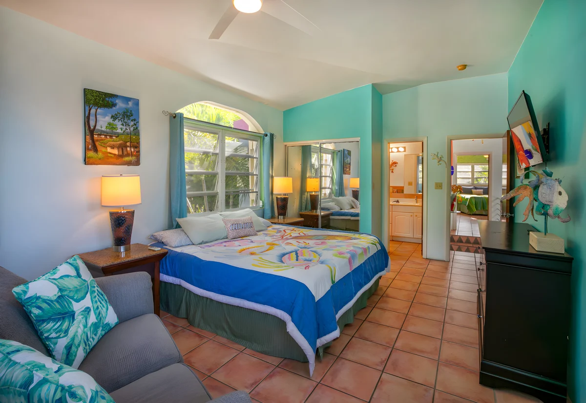 Home in St. Thomas property photo 5