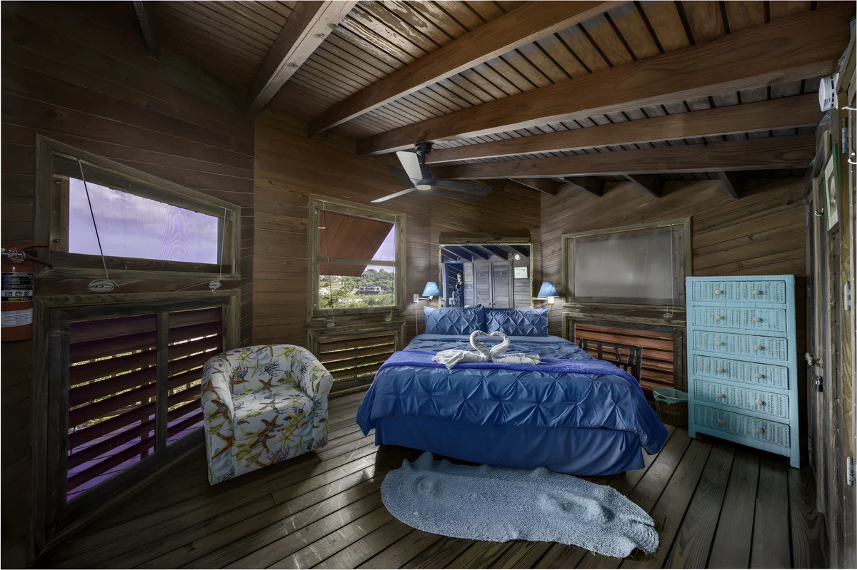 Treehouse in Paradise property photo 5