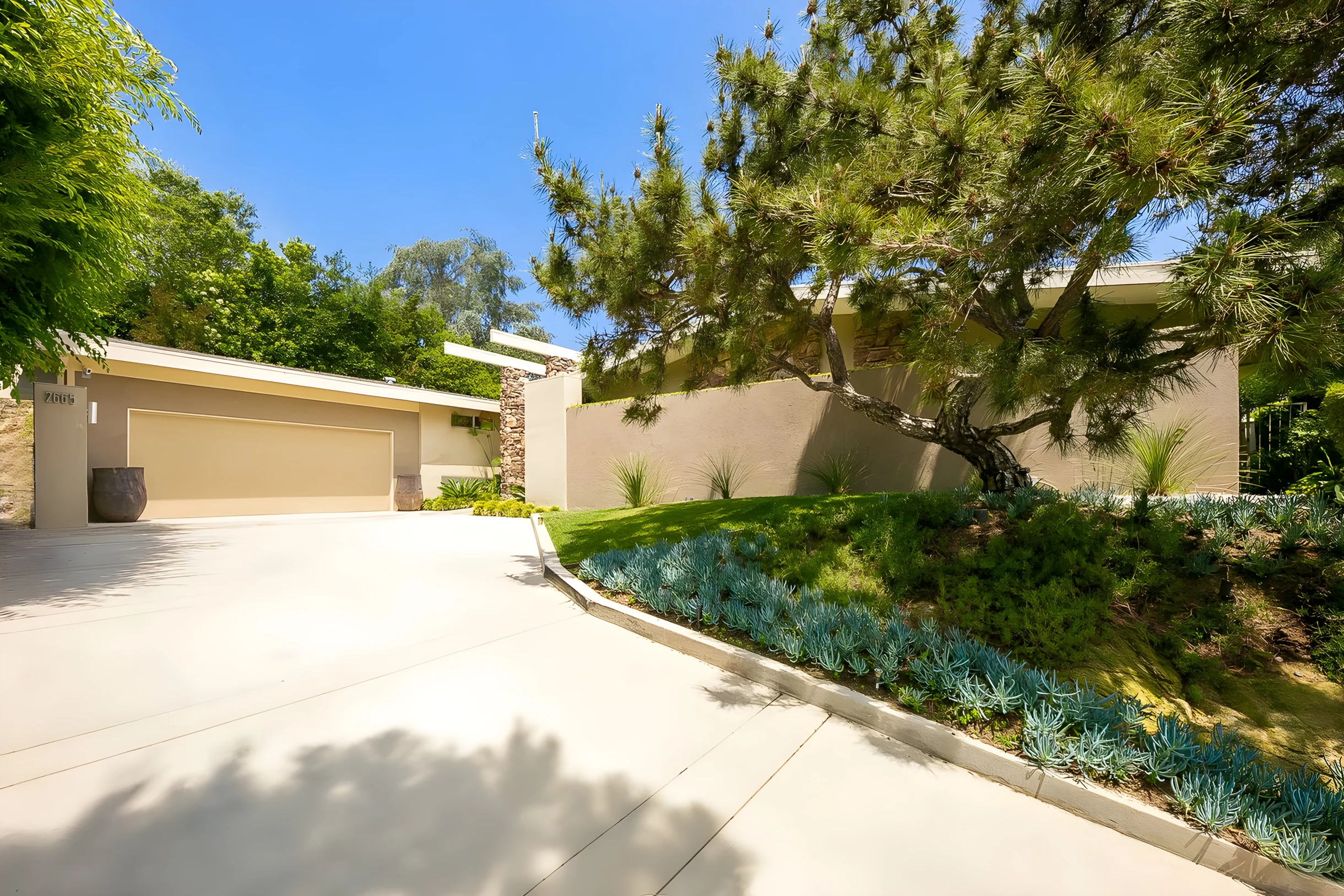 Wander Hollywood Summit #4