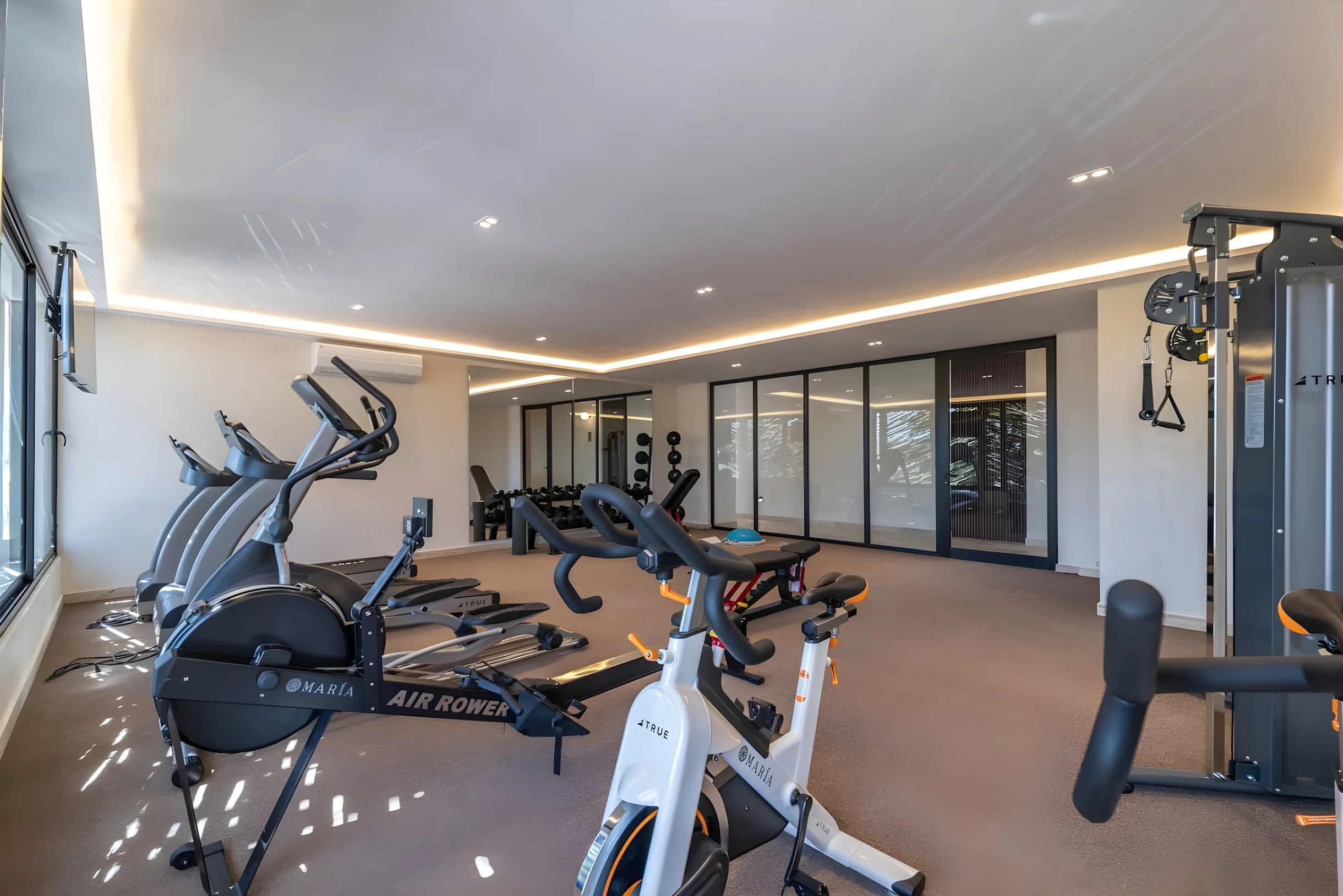 Wander Tulum Zama Canopy #50