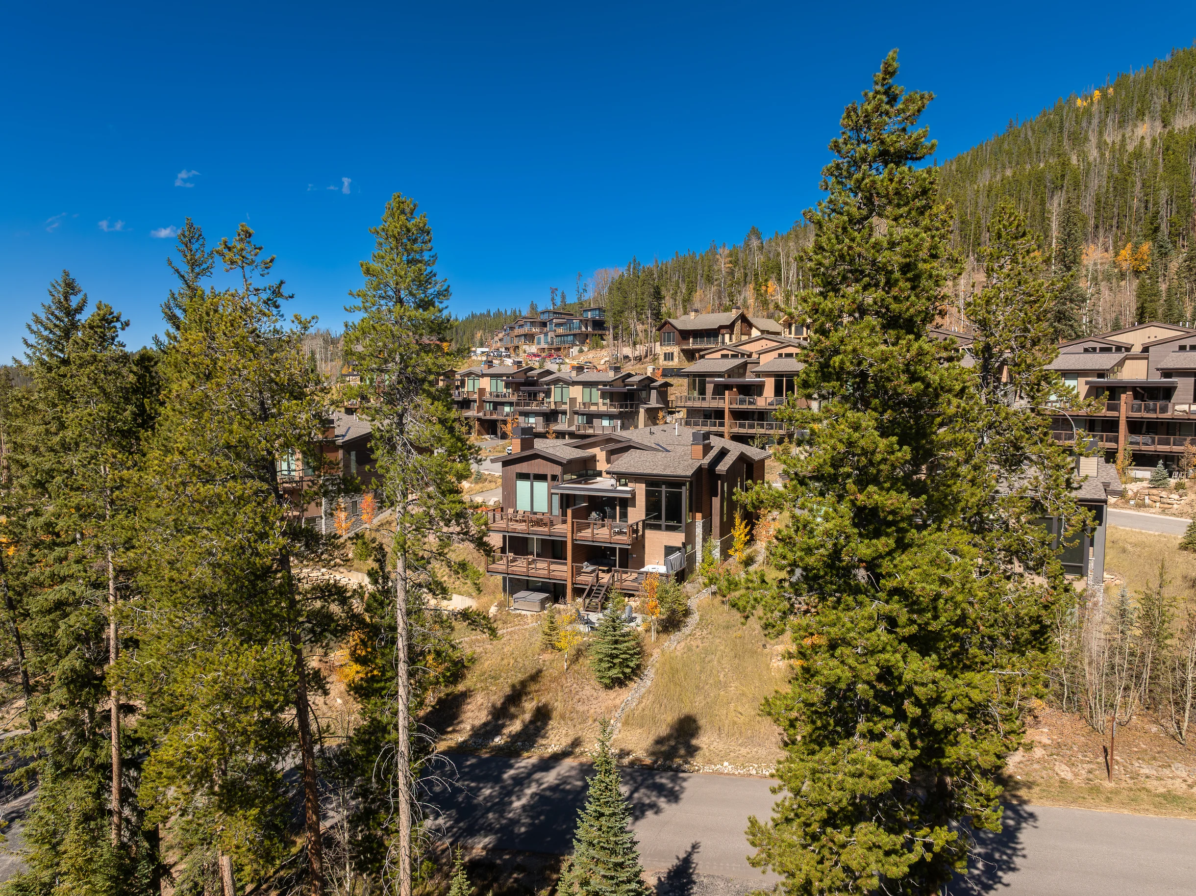 Wander Winter Park Evergreen #53