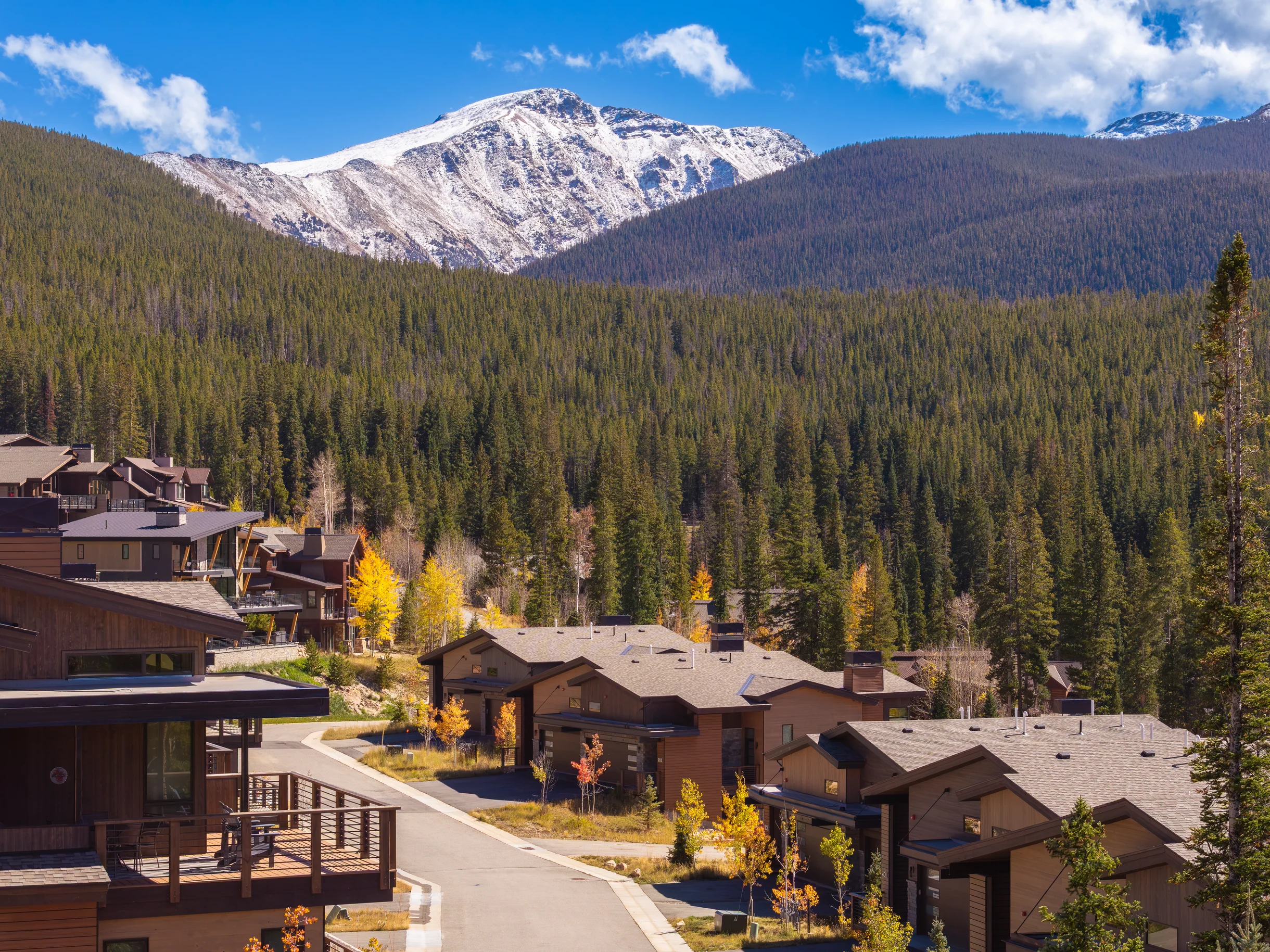 Wander Winter Park Evergreen #58