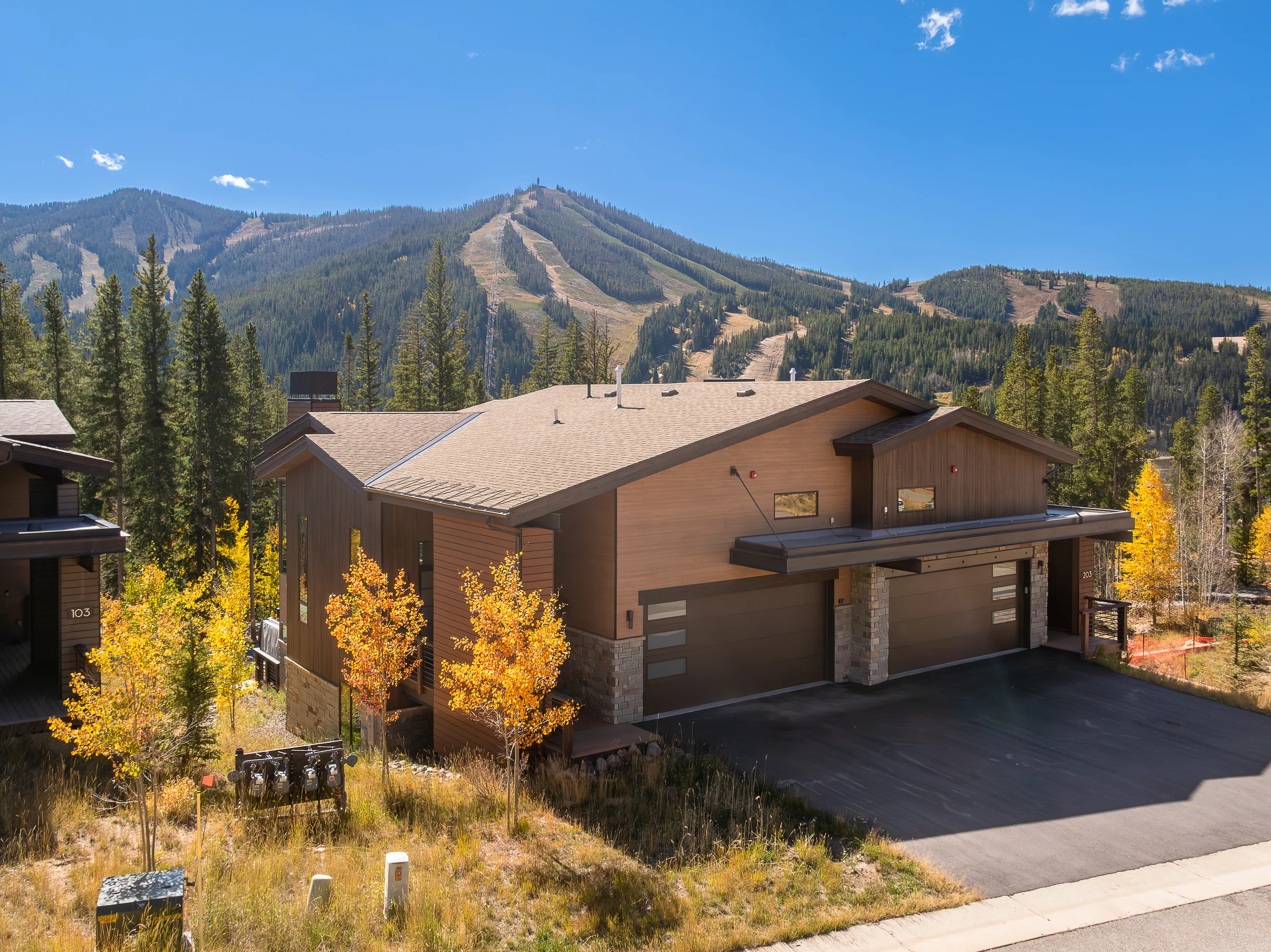 Wander Winter Park Evergreen #4